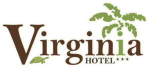 VIRGINIASA-logo