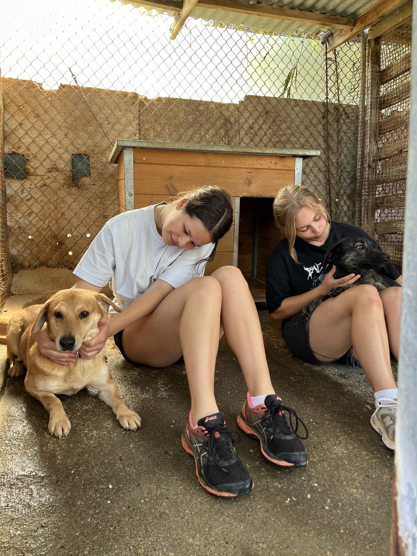 Volunteering at the Gouves Animal Shelter in Crete
