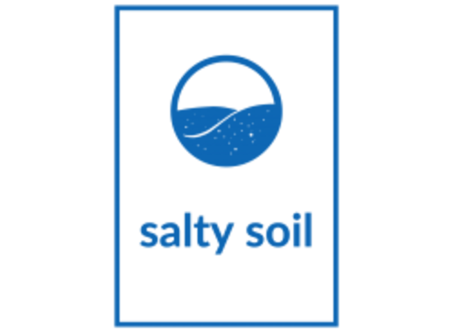 salty-soil-logo