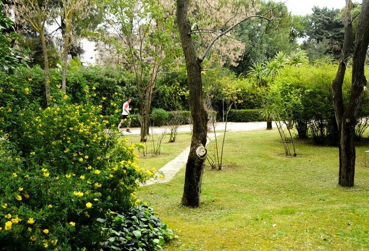 Diomedes Botanical Garden
