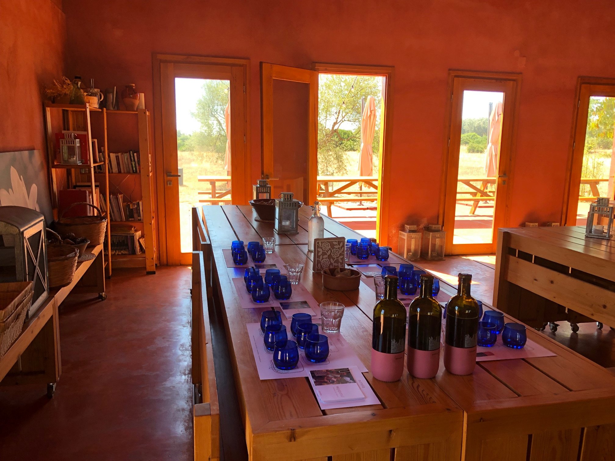 Wine & Olive oil tasting in an Organic Farm in Laconia