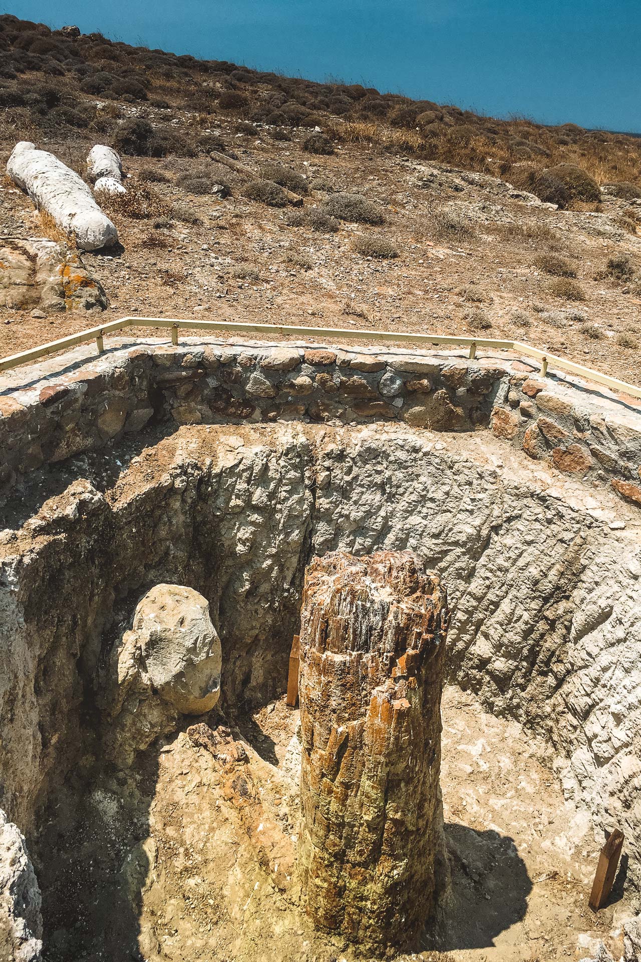 Hundreds of petrified logs (some wholly or partially submerged) have created an entire island geotope