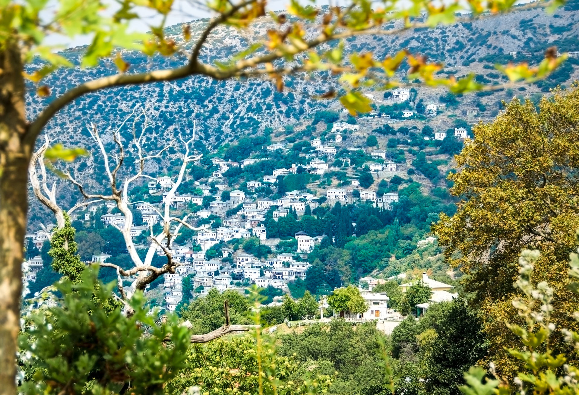 View of Beautiful Greek Village Makrynitsa on Mountain Pelion in Magnisia