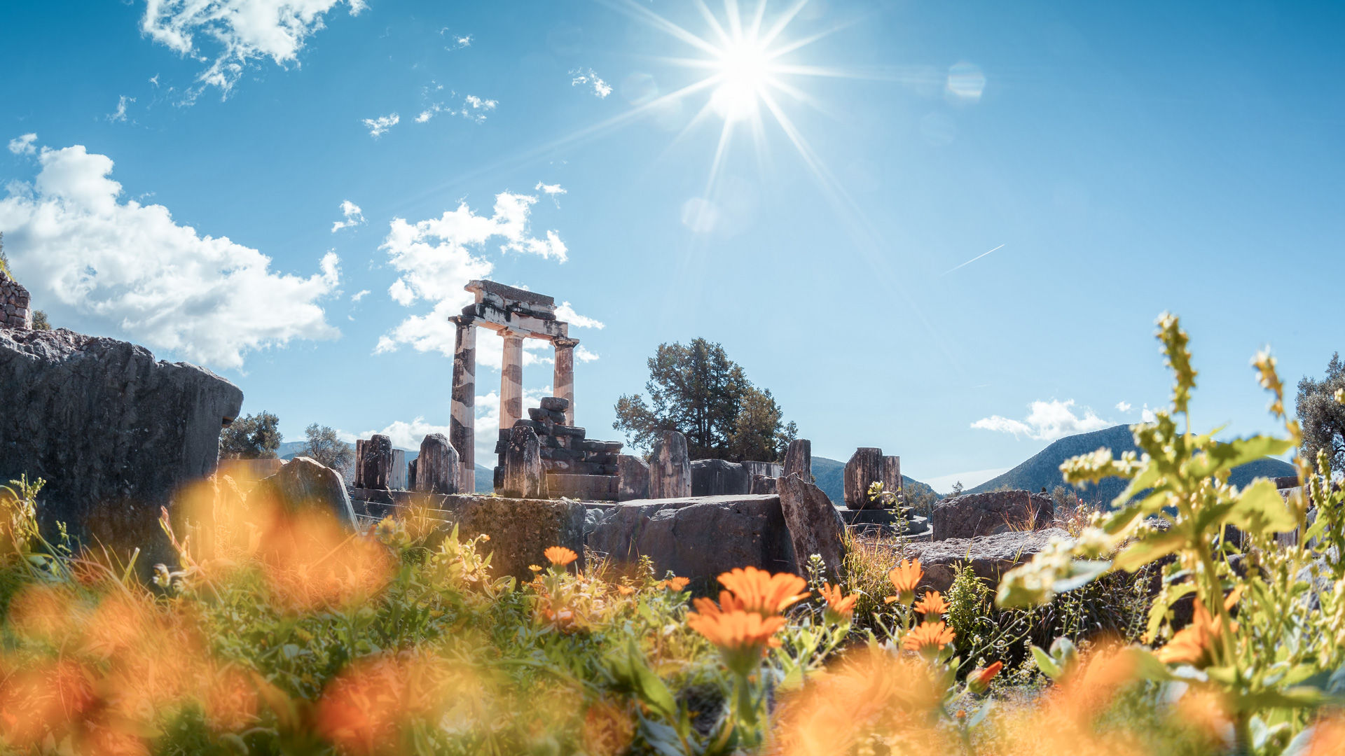 The best experience is in spring when the olive groves and wildflowers are in bloom
