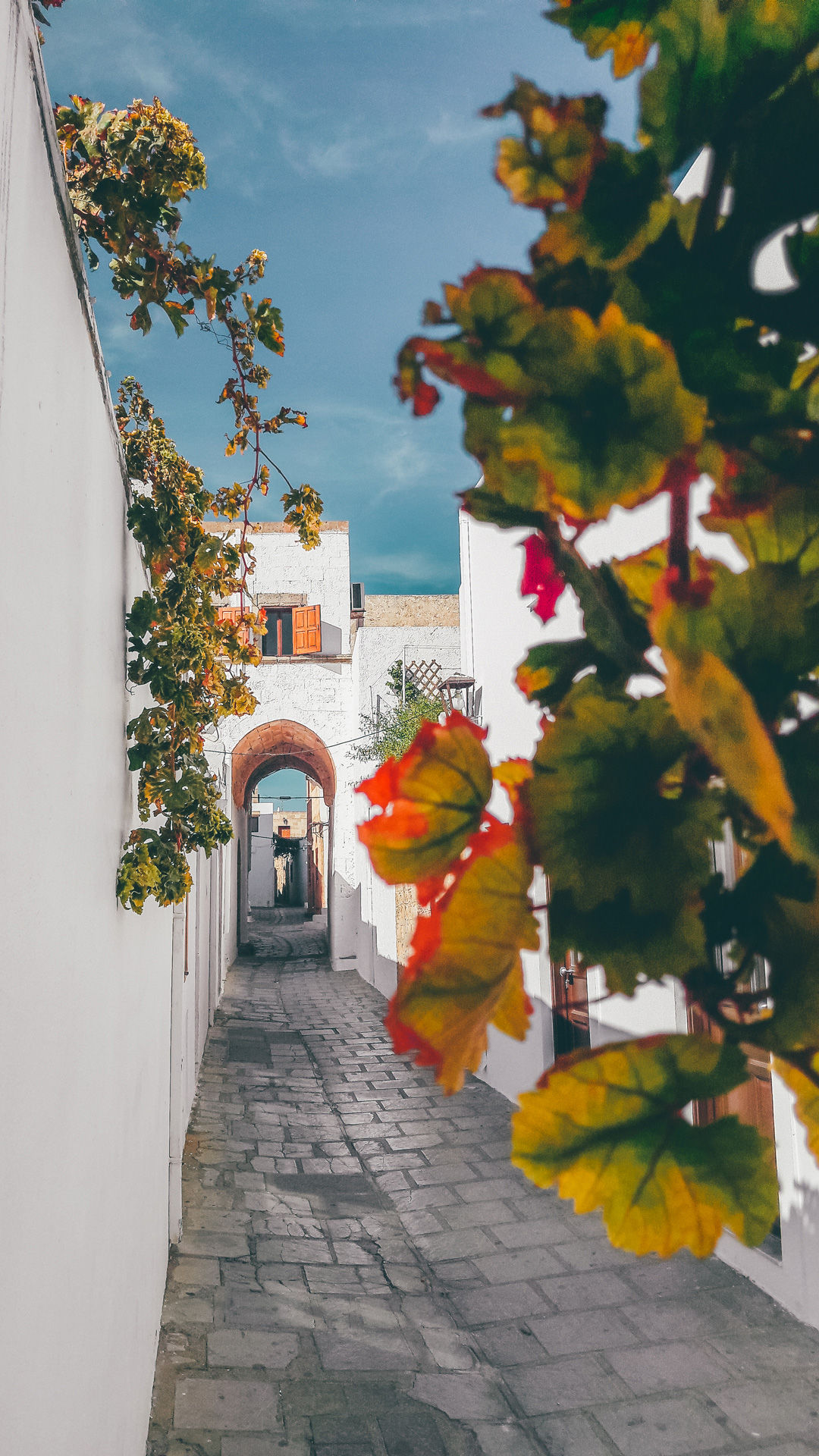 The sugar cubed houses and labyrinth of alleyways of Lindos town