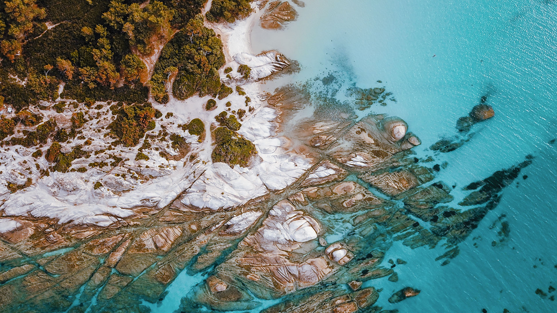 Kavourotripes beach in Halkidiki