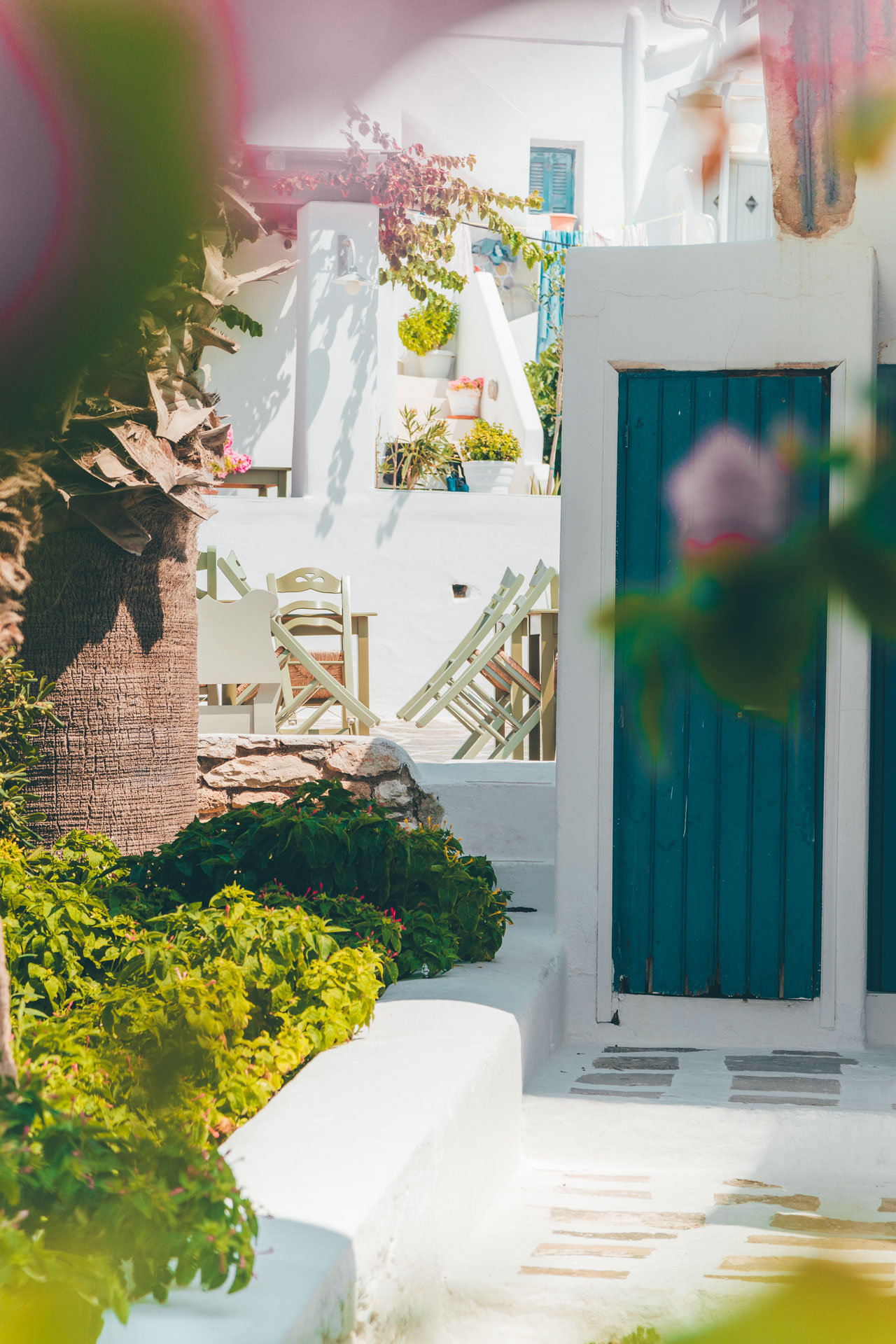 Disappear into the whitewashed alleyways, amidst the bougainvillea, cobblestones, souvenir shops, arts galleries and countless small bars & cafés