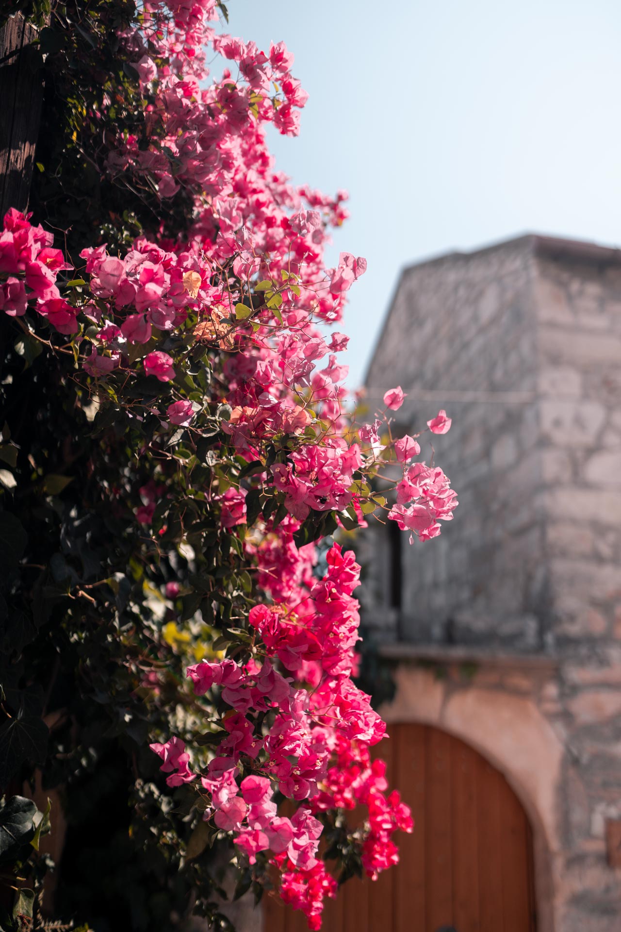 In Vamos village you will find beauty in the details, Cretan tradition and rich flora and fauna