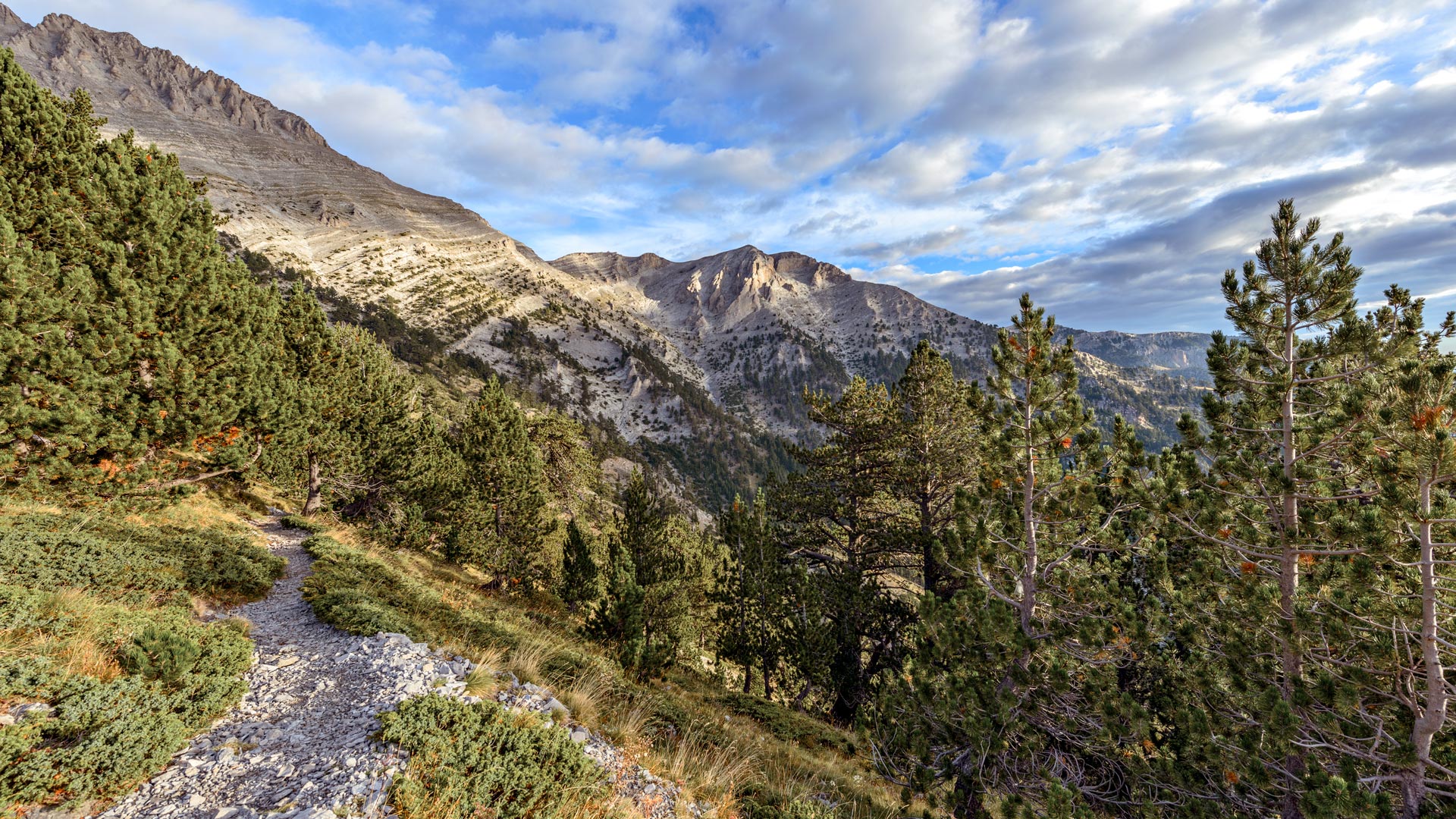 Path to the top of Olympus mountain