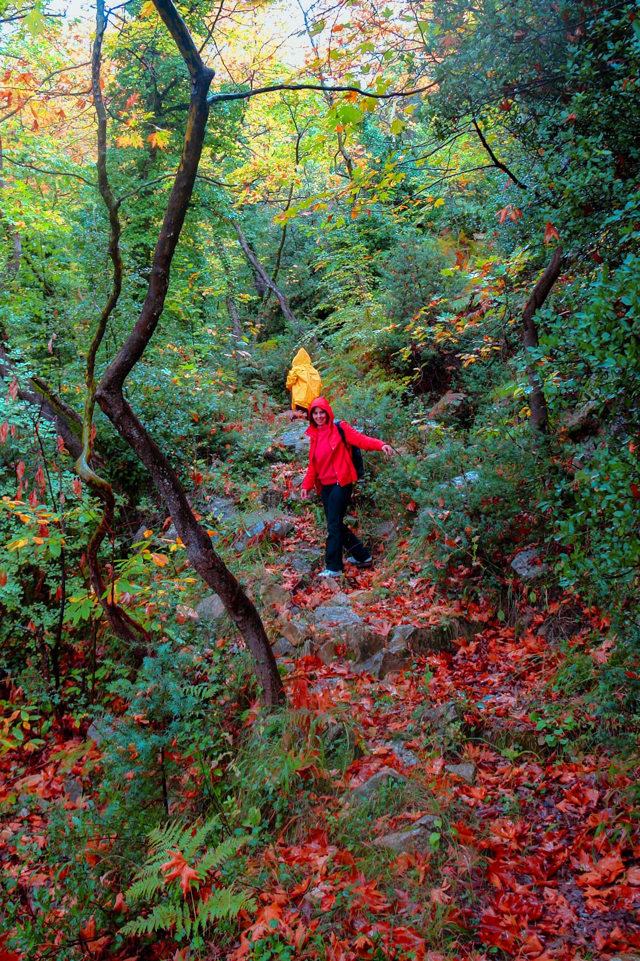 The magical landscape of Mt Pelion