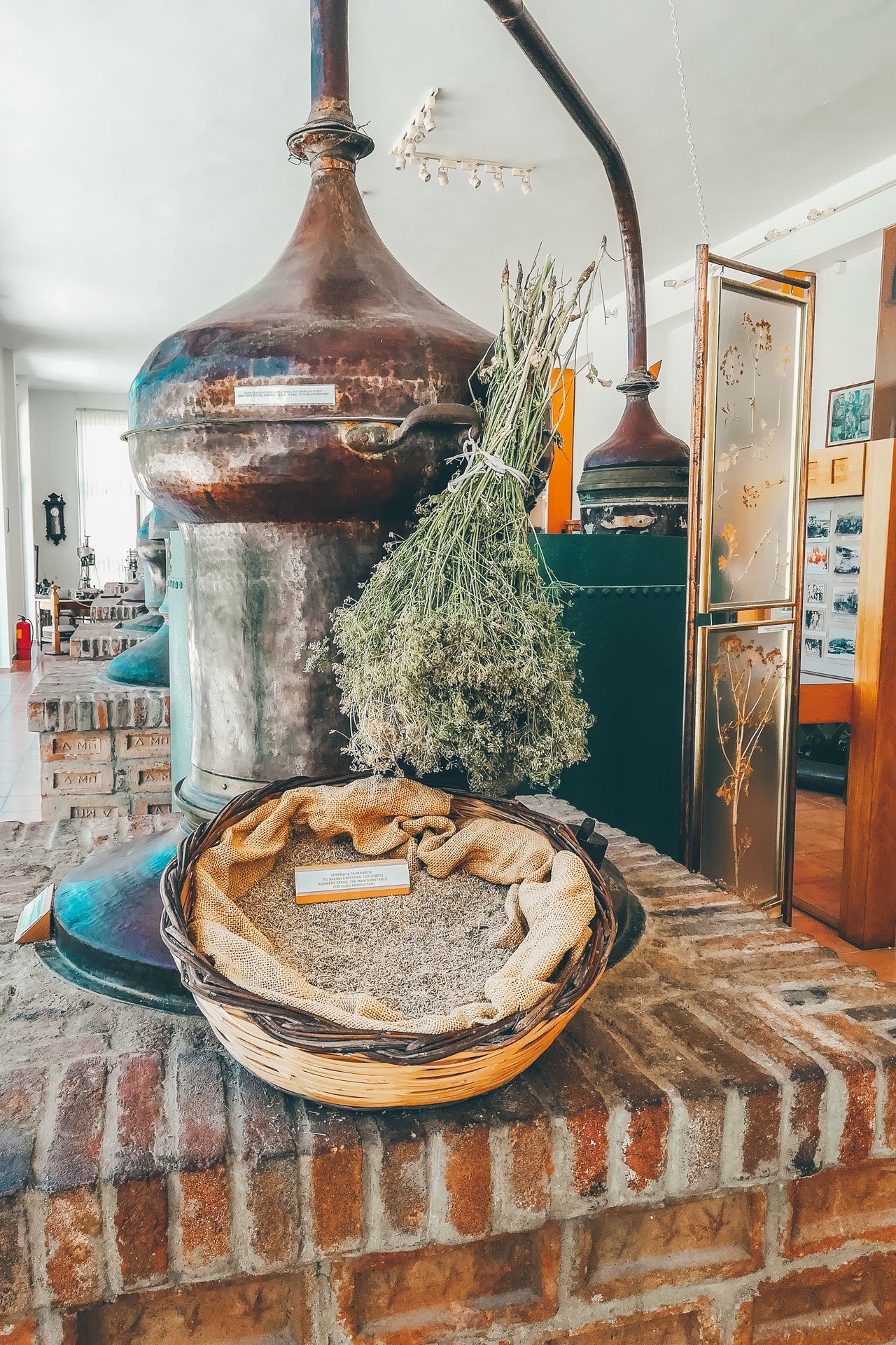 Visiting the Plomari ouzo distilleries can be done at any time of year