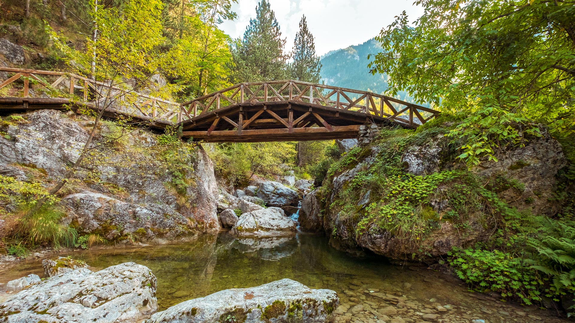 Wooden bridge over a river, Epineas River Valley, Olympus mountain