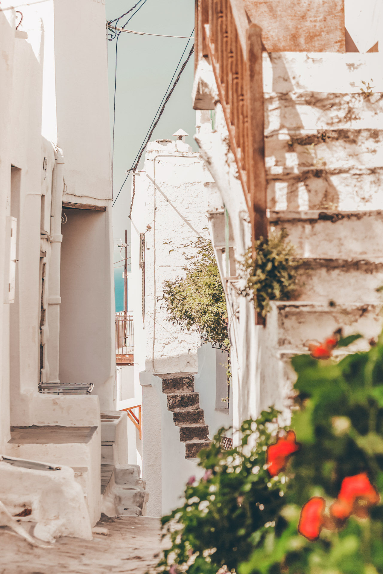 As the terrain becomes steeper, you feel as if you are losing your way – but virtually all paths lead up to the castle and back down to town
