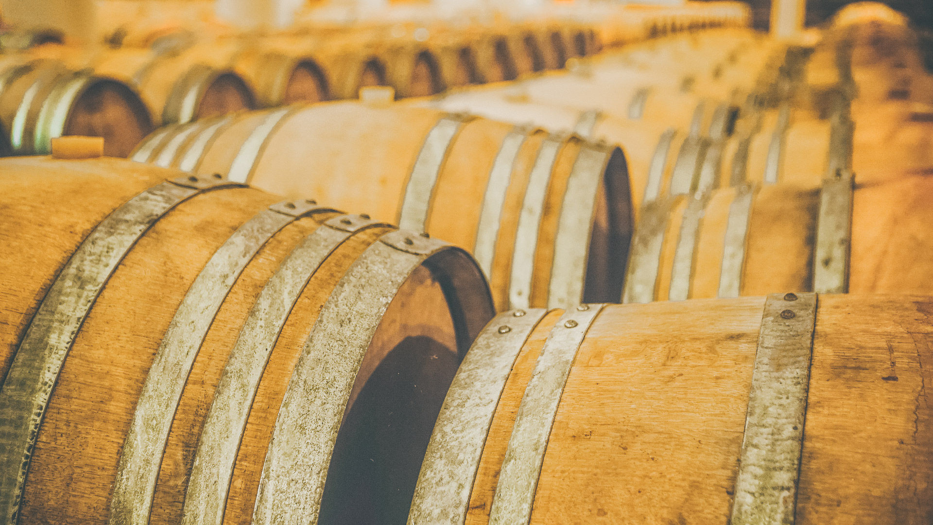 Belding traditional values with the latest advances in viticulture