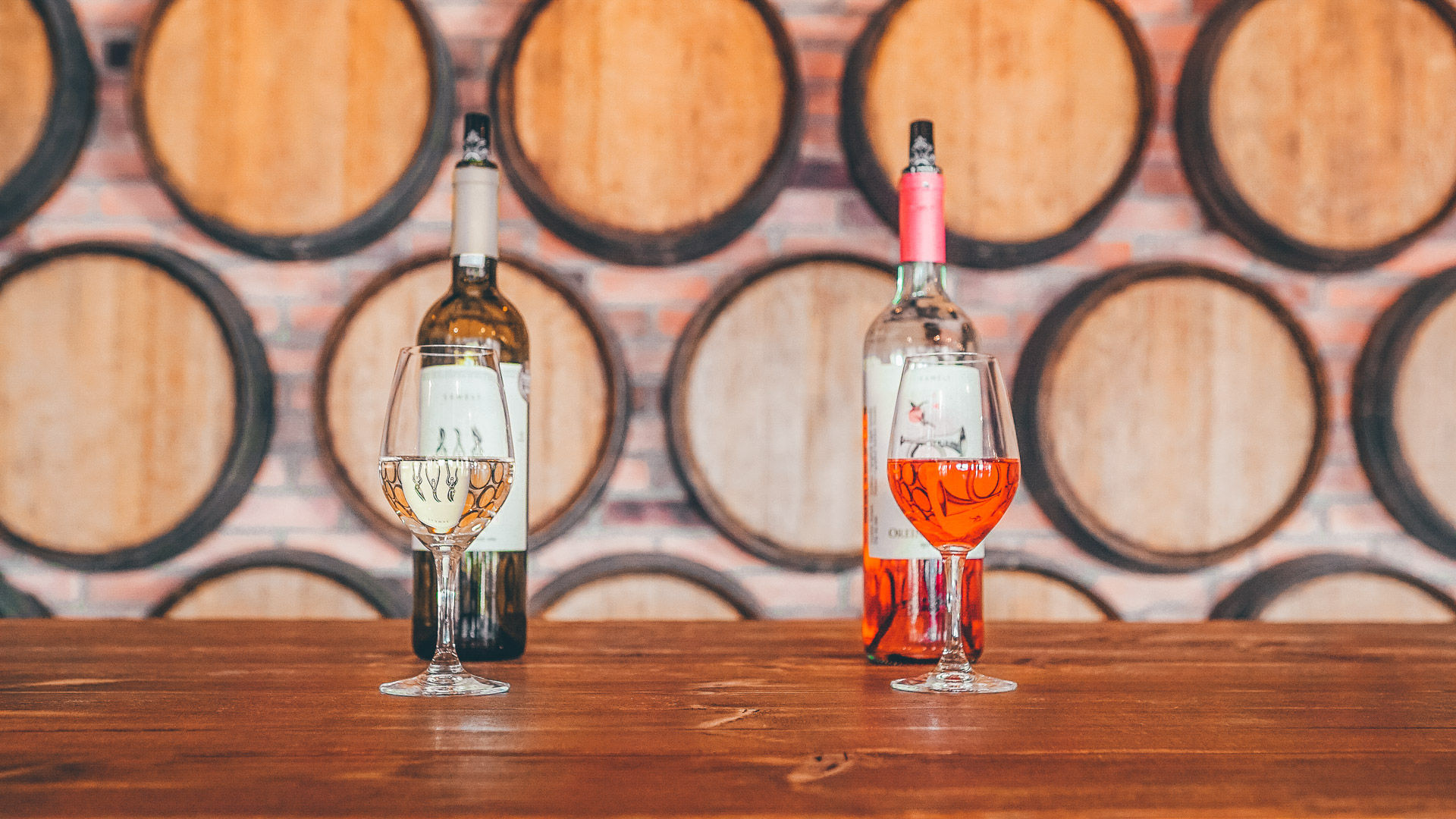 Enjoy a wine tasting experience in Nemea