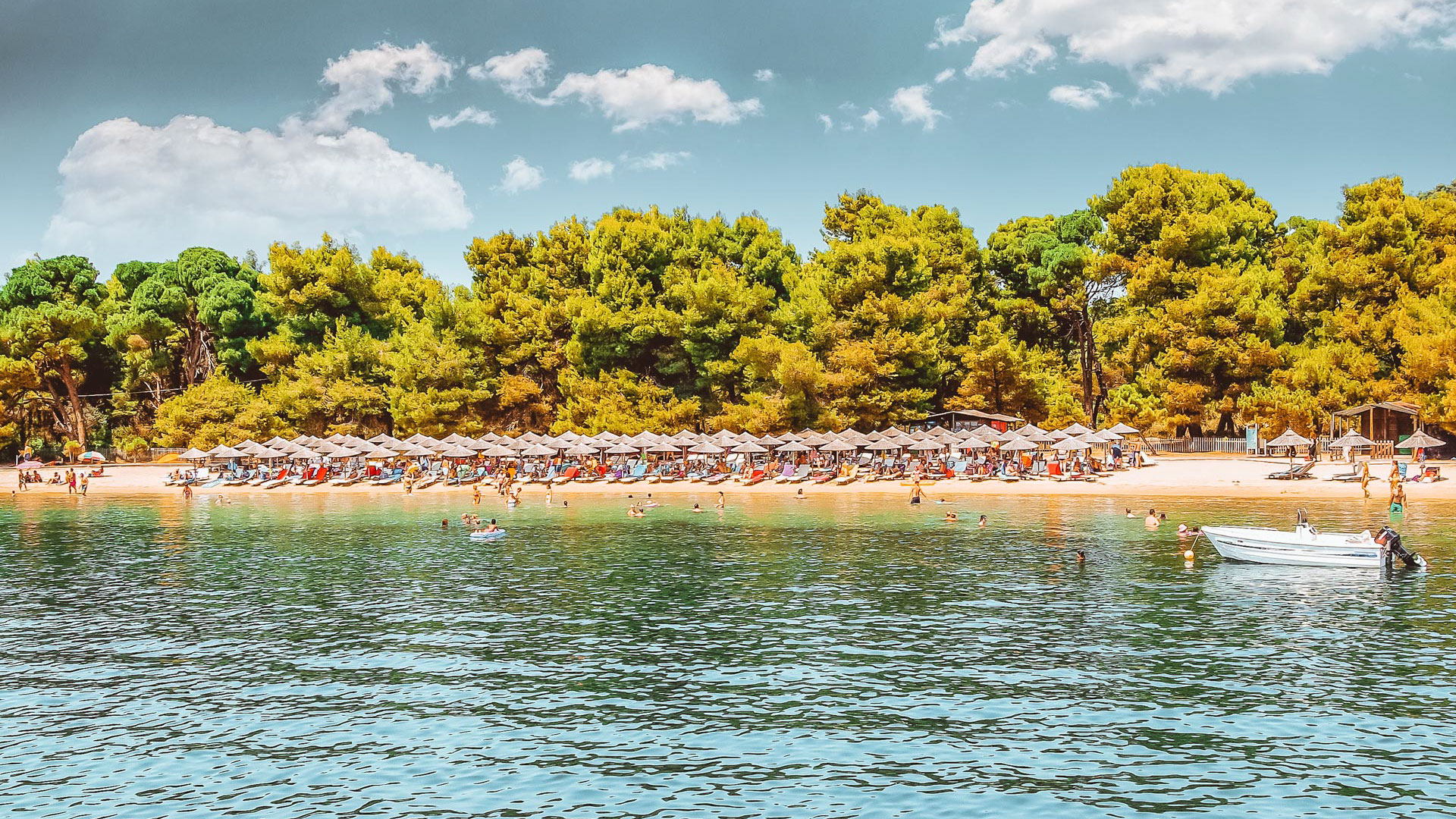 Koukounaries has been winning over the hearts of visitors to Skiathos for decades