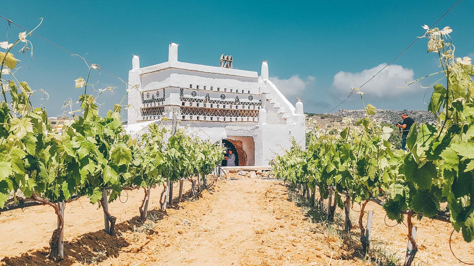 Nothing is more closely linked to the Tinian soil than its wine production