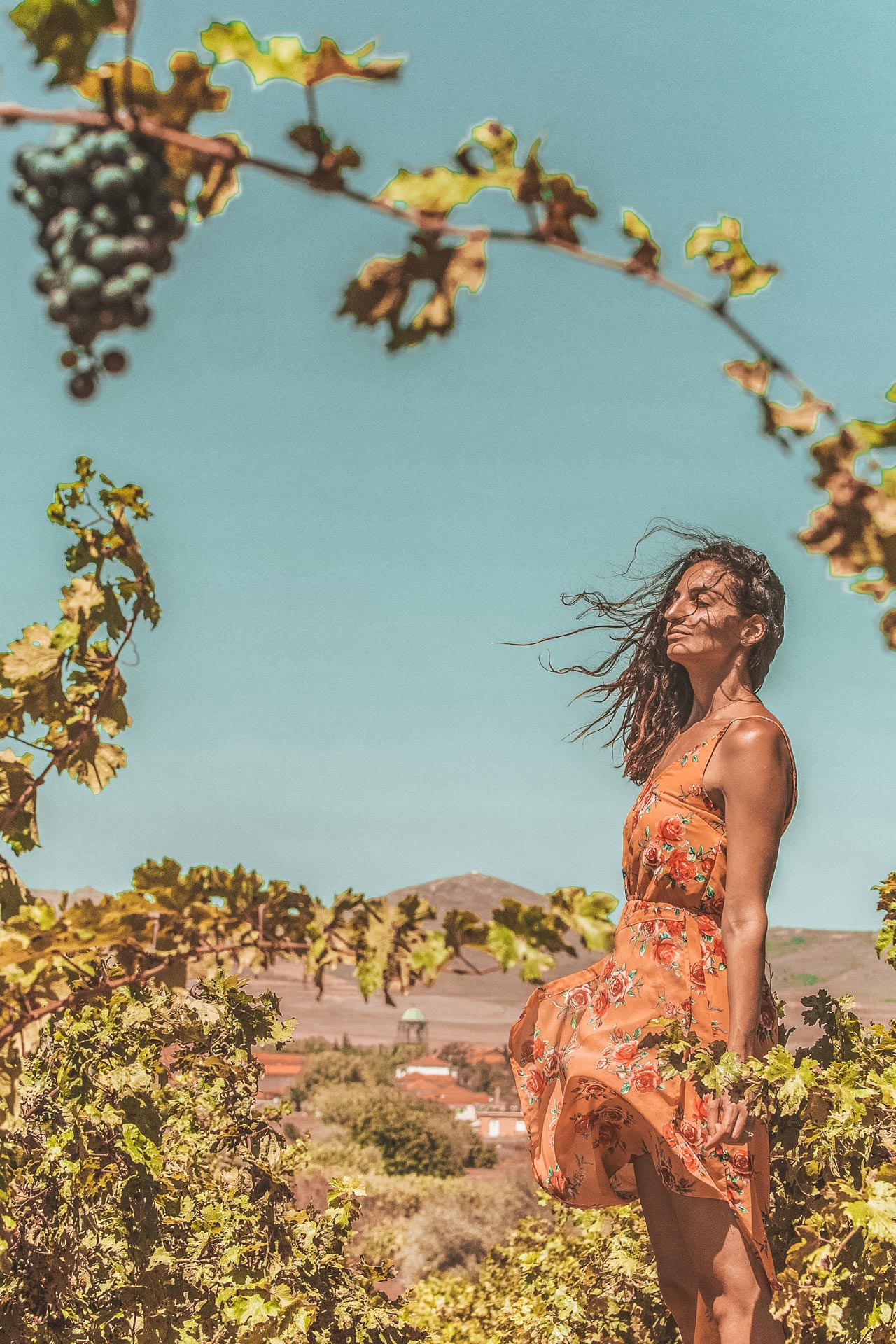 Tap into the deep-rooted wine culture of Limnos