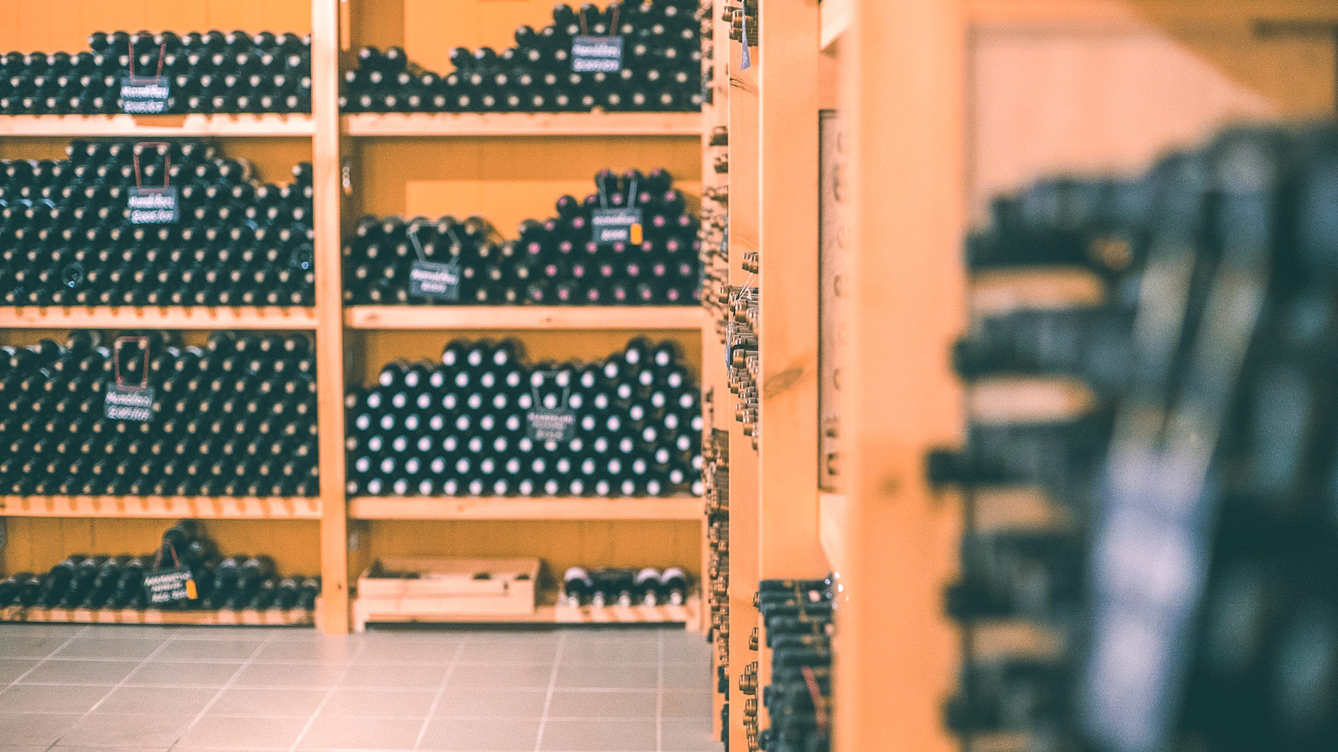 The experience at each winery, including wine tasting and touring the vineyard and cellar, will take 2-3 hours.
