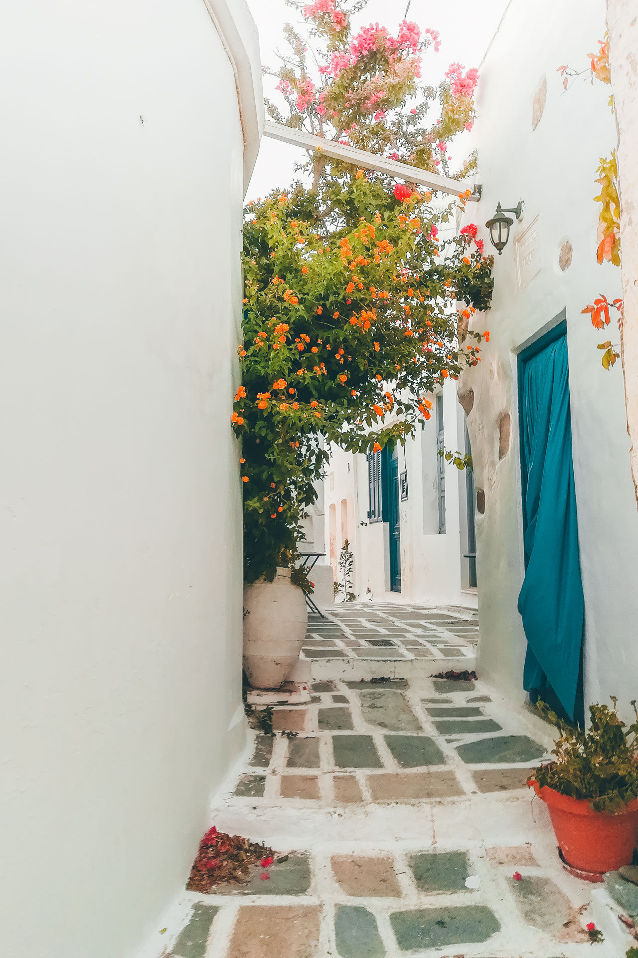 The scene is brought to life with colourful houses, bougainvillea-filled courtyards and the heart-warming smells of wood-fired ovens