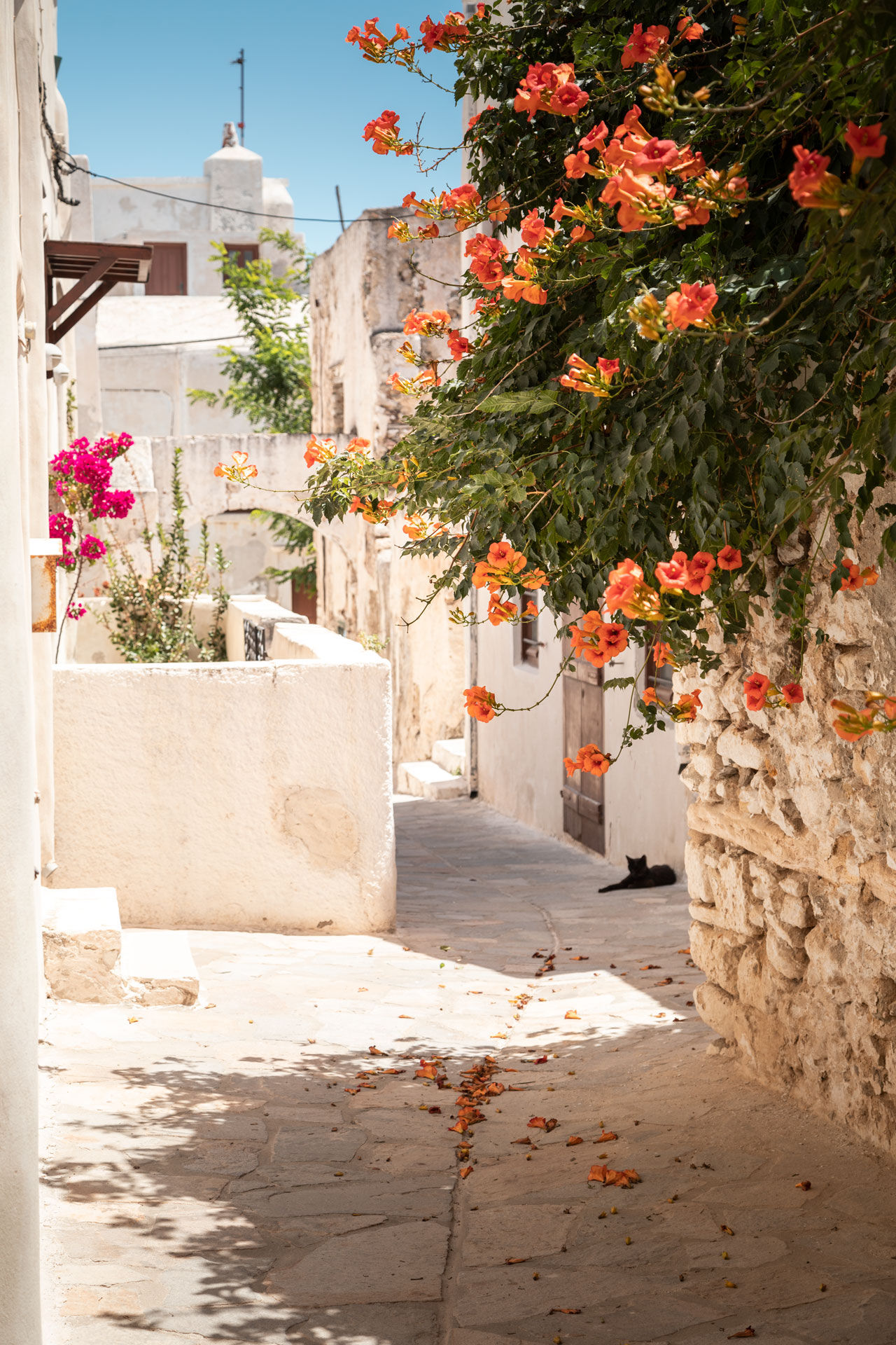 Whitewashed houses and old stone houses in Naxos' Hora