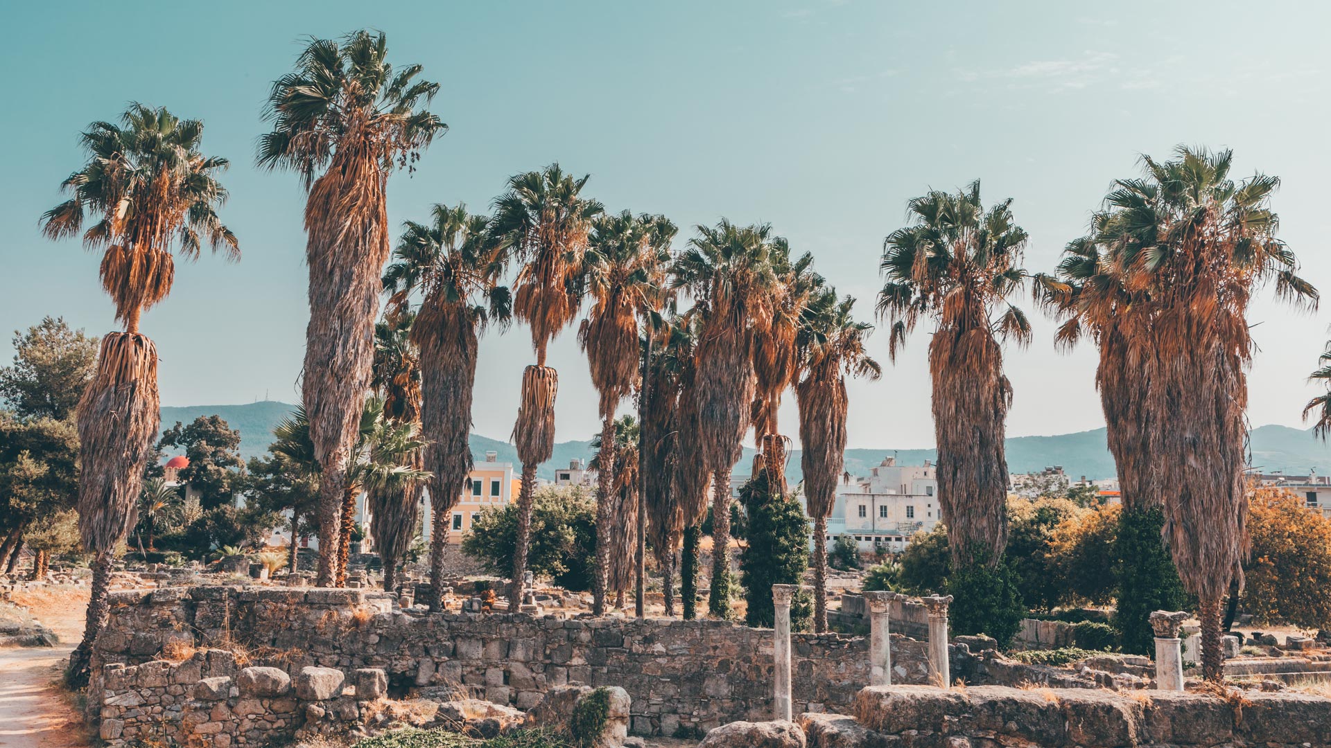 Part of a large wider complex of Hellenistic and Roman remains, the gymnasium is where athletes competed in ancient times