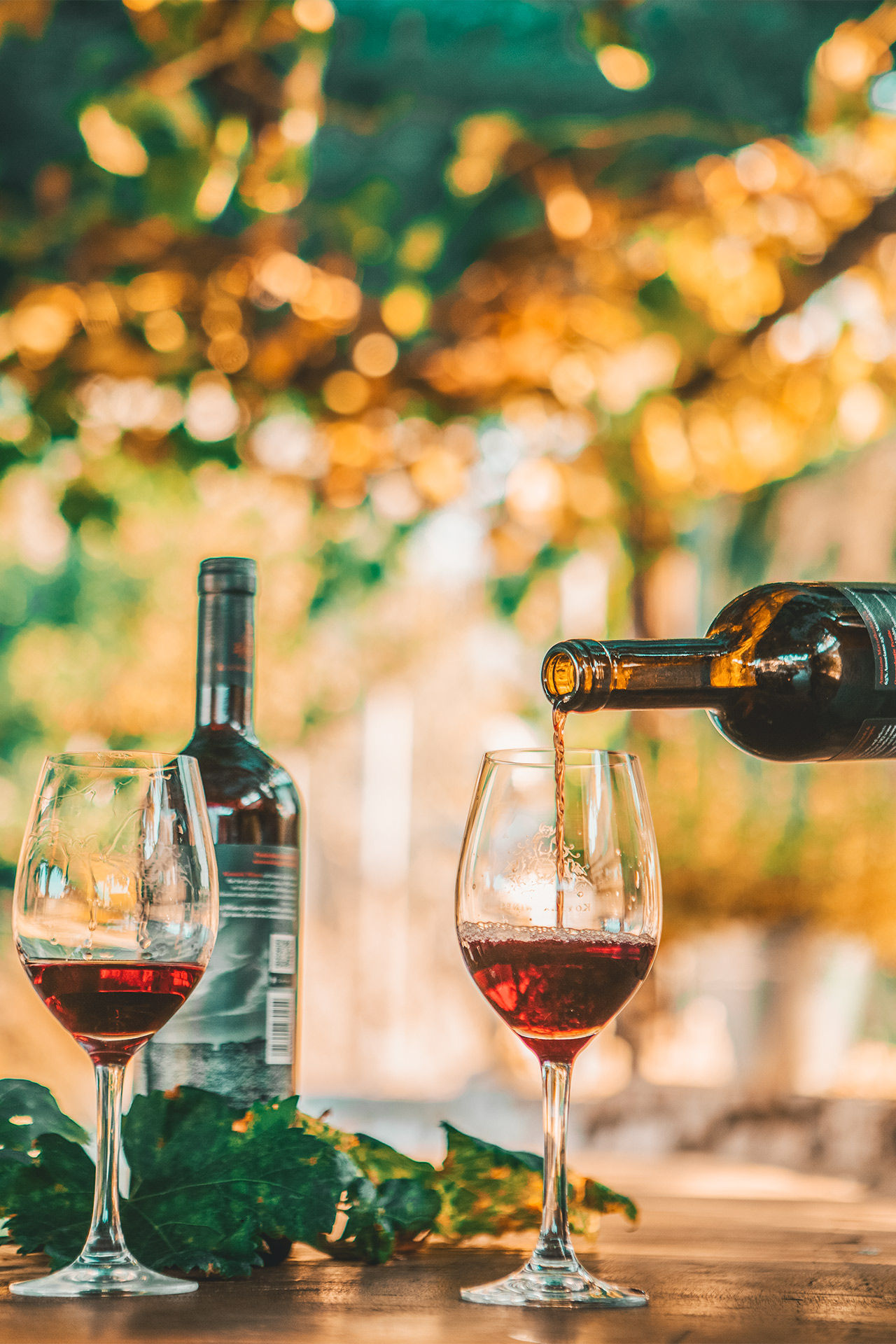 Sample Rhodes' wines in a vineyard