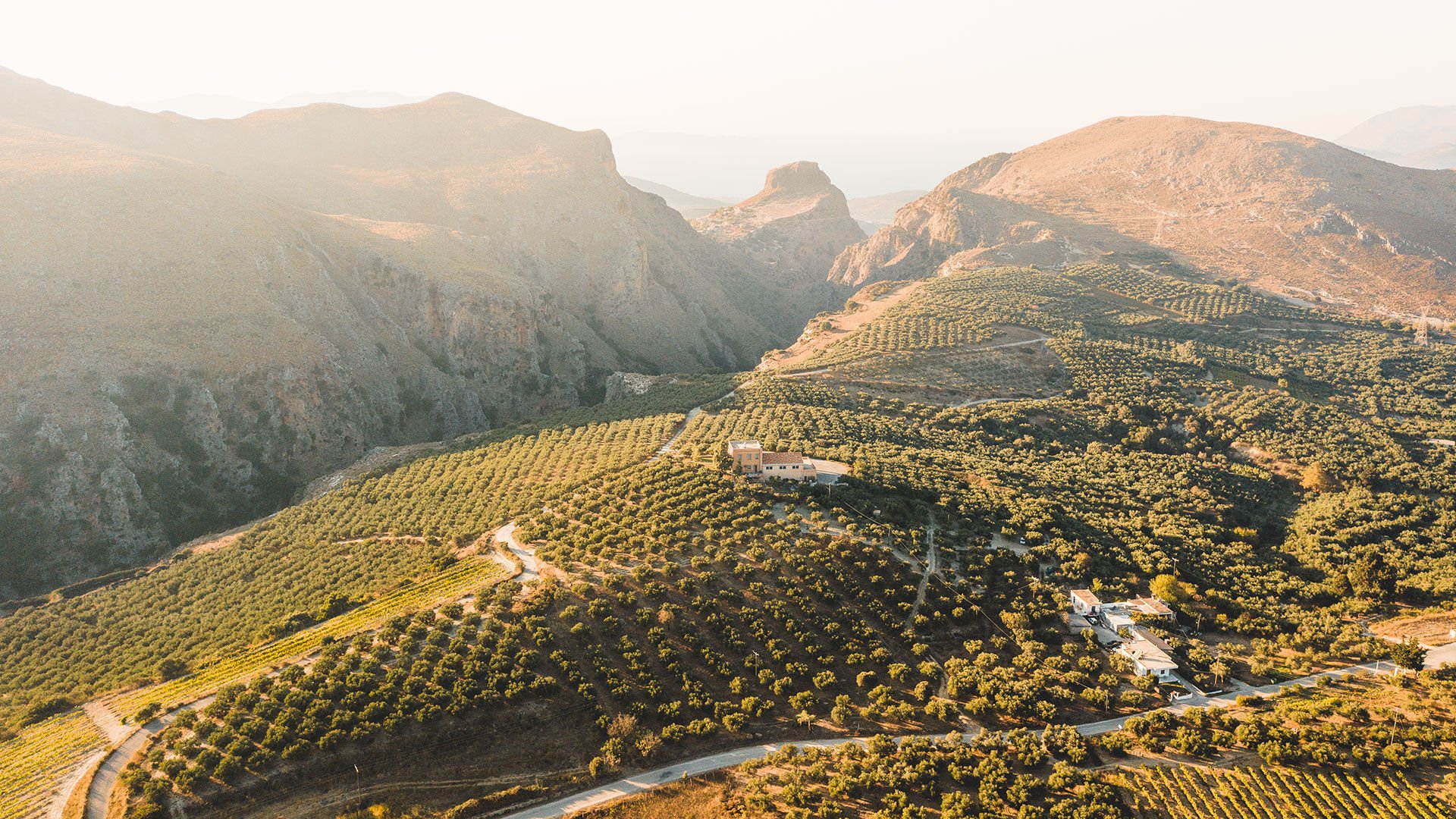 The sight of olive groves will accompany just about every journey outside Chania town
