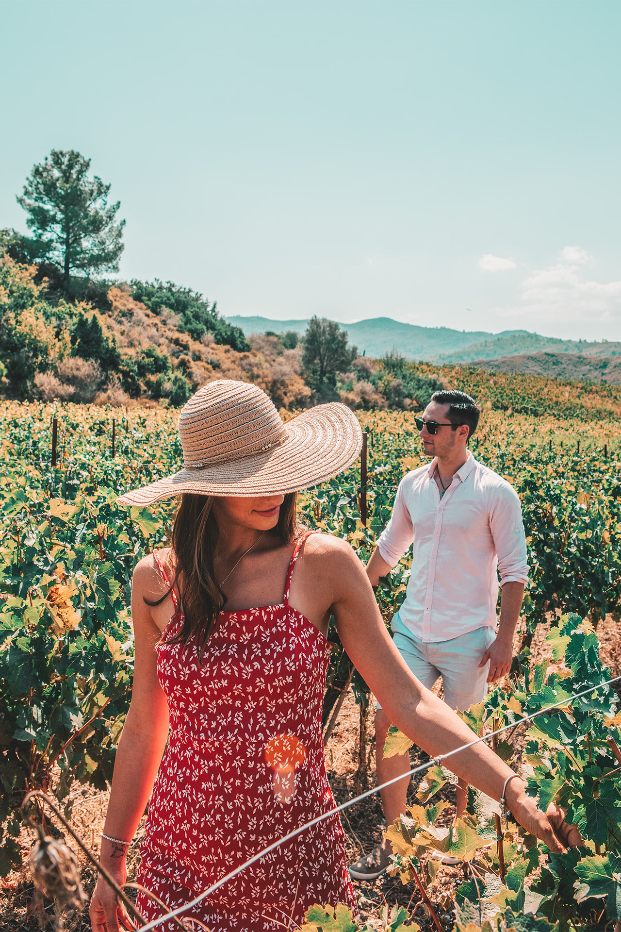 You can find numerous modern wineries on Rhodes to sample local wines.