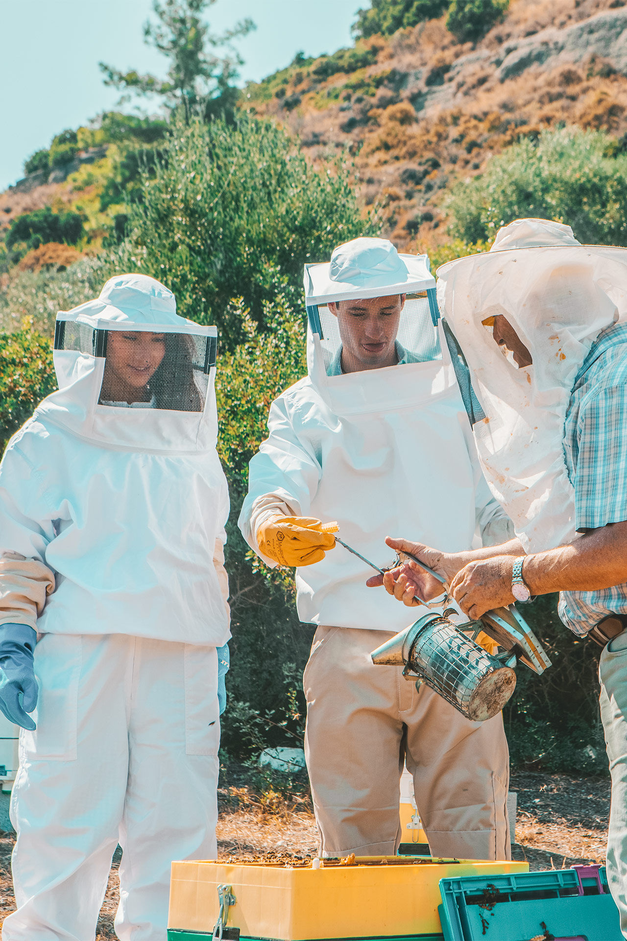 You can visit Melissokomiki Dodecanisou which has gathered a cooperative of around 70 beekeepers.