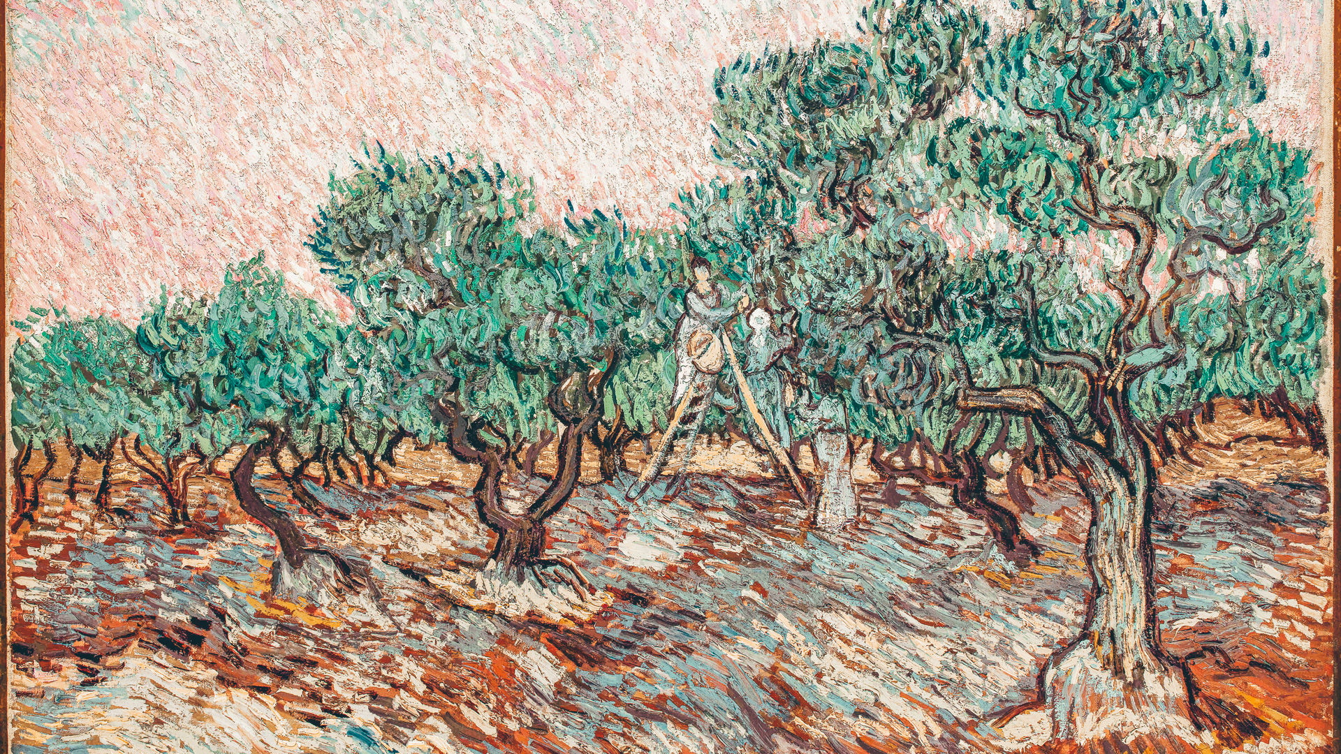 Gogh Vincent van, La Cueillette des Olives