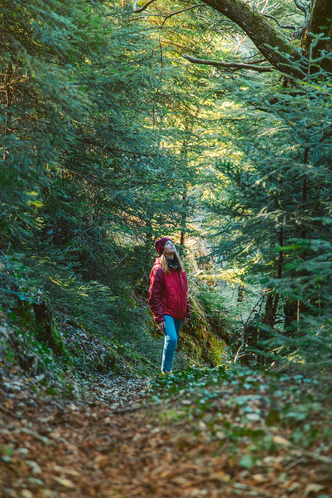 There are well-marked walking paths from Tornos village, taking you into the mountains or along riverside paths