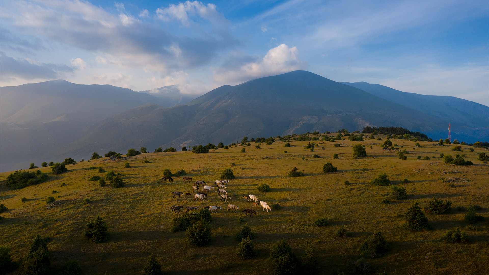 National park at Mt Olympus