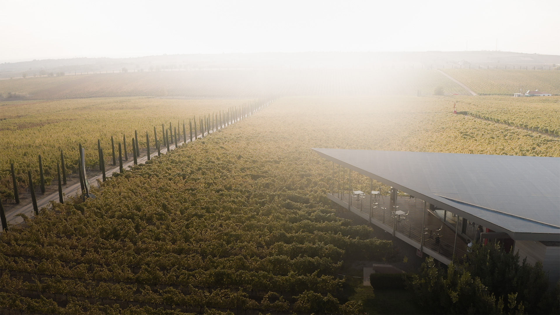 There are wineries within an hour’s drive in every direction