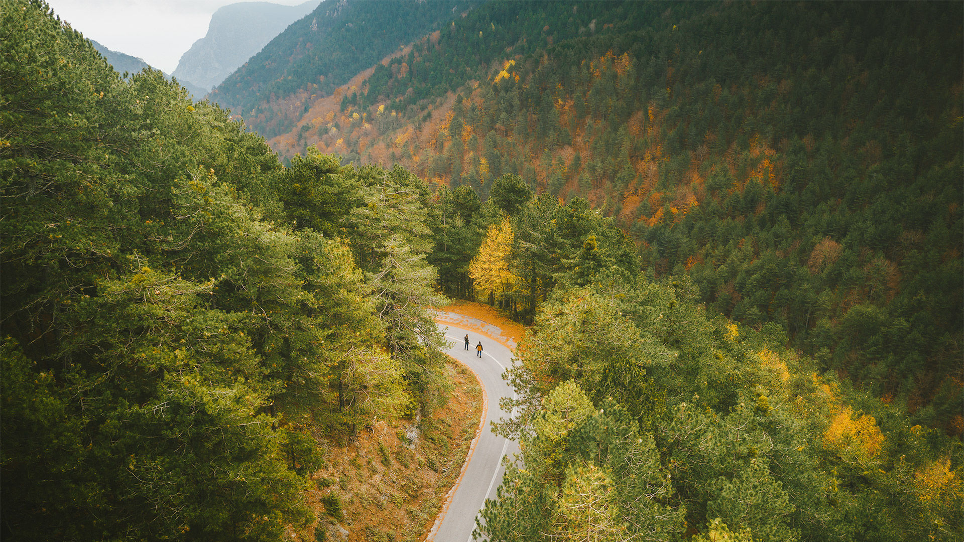 View of the  greenery on Mt. Olympus