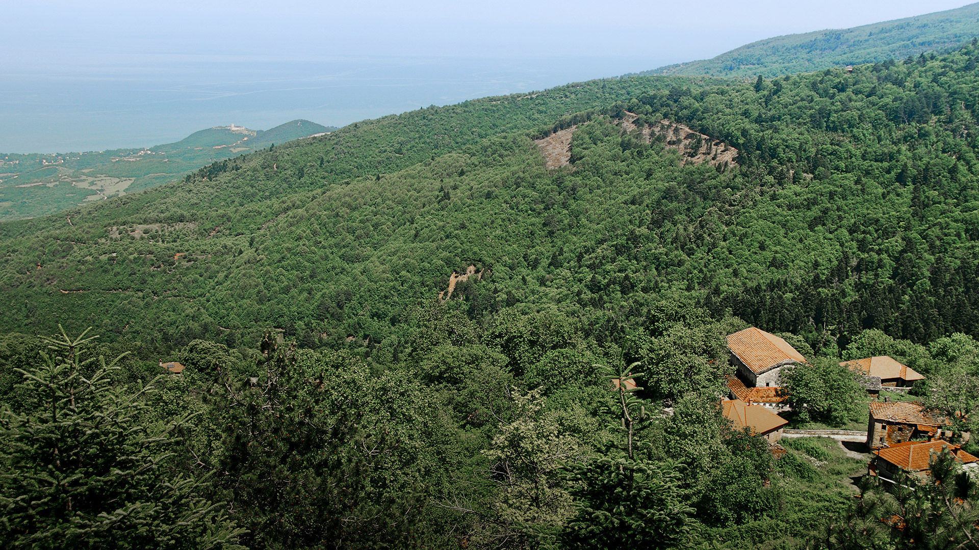 You’re surrounded by a forest of fir and beech trees as you enter Ano (Upper) Skotina, around 750m up on the lower slopes of Mt Olympus