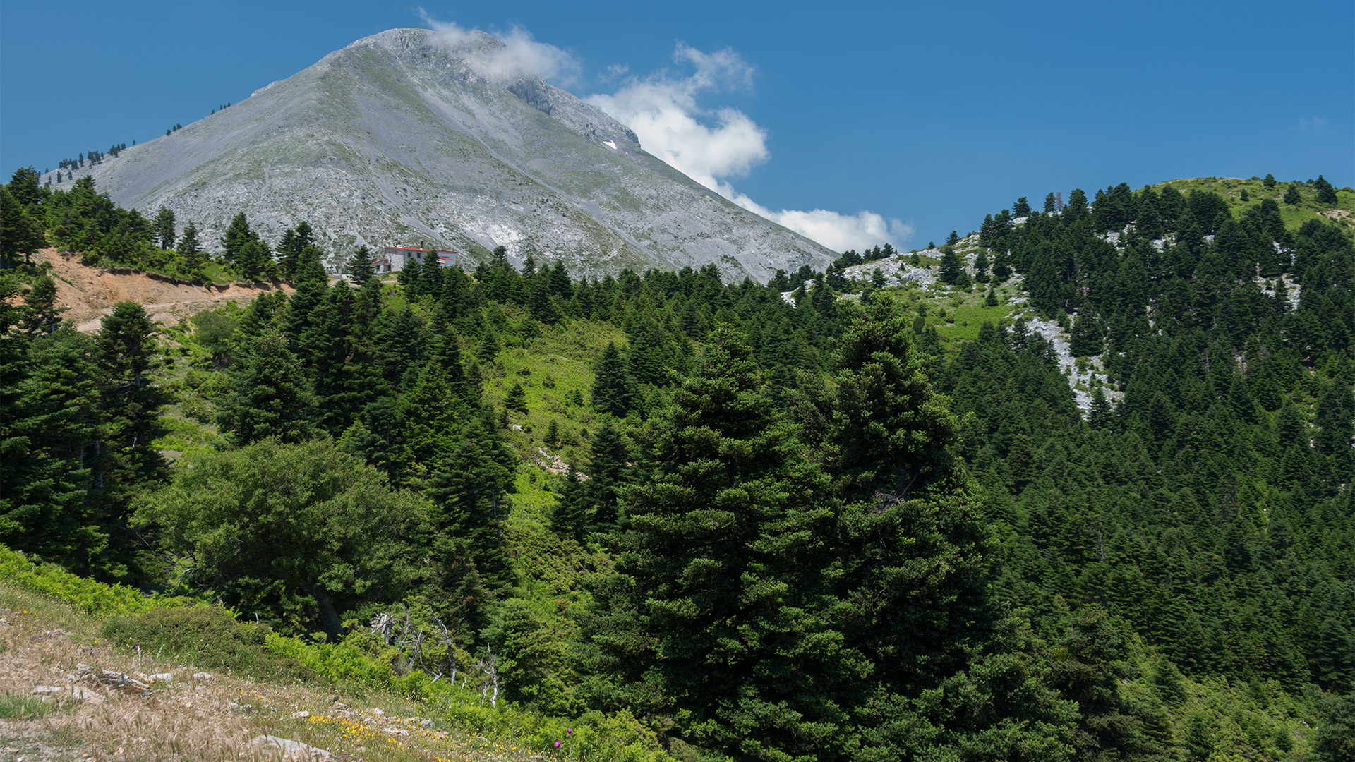 Mt Dirfis in Euvoia