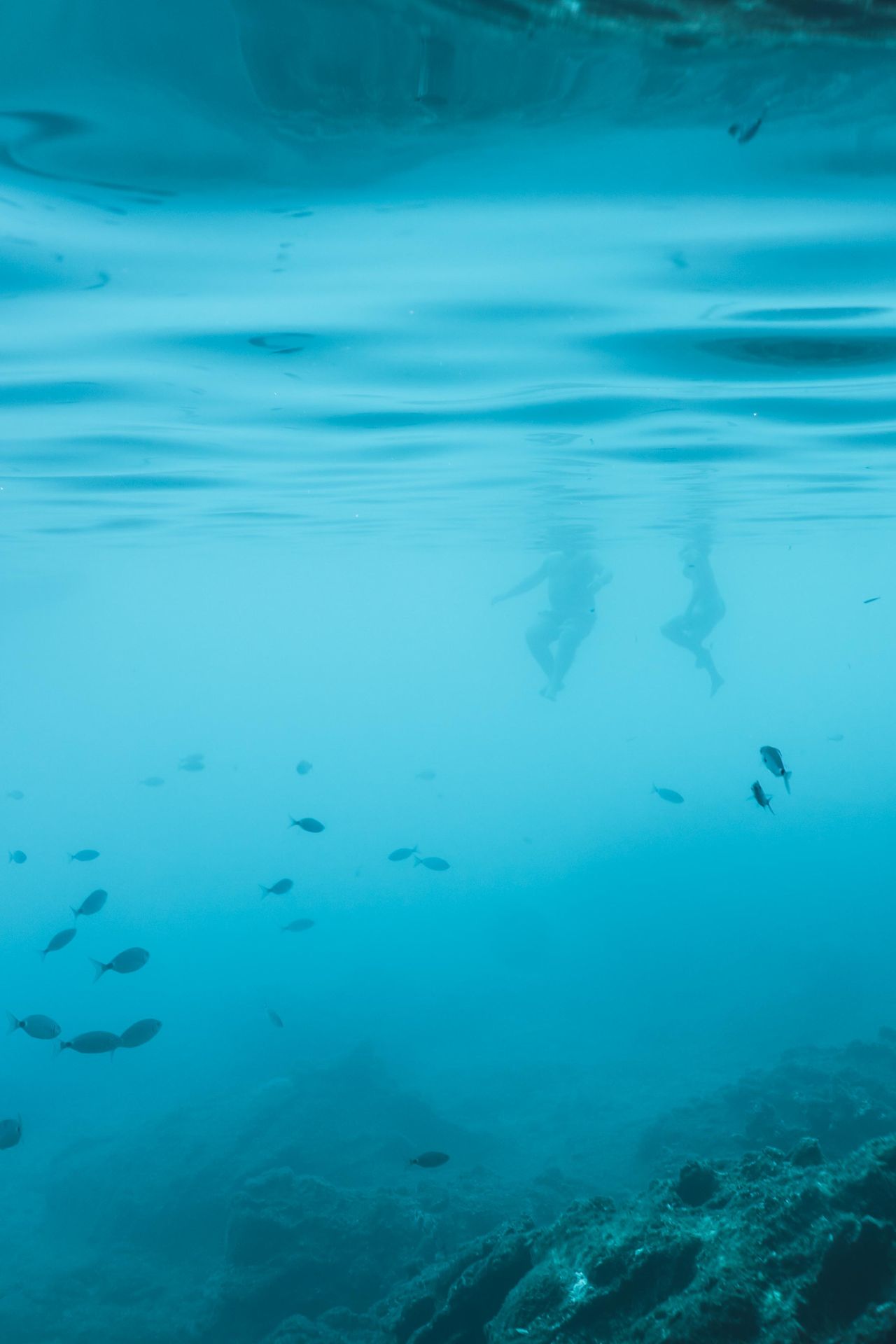 Snorkeling experience during a boat trip in Lefkada