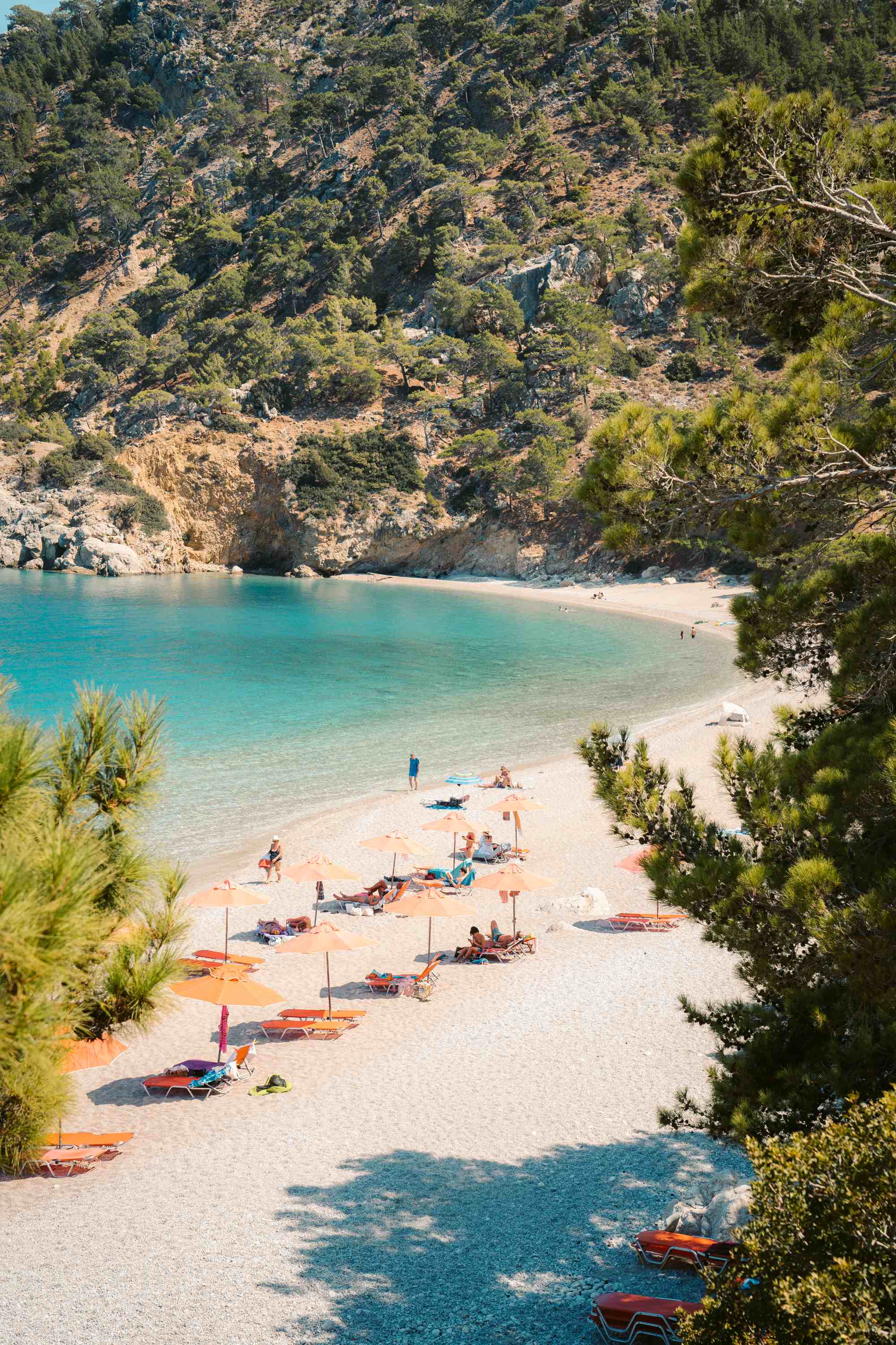 There’s an exotic beauty to Apella that comes from the richness in the green of its pine trees