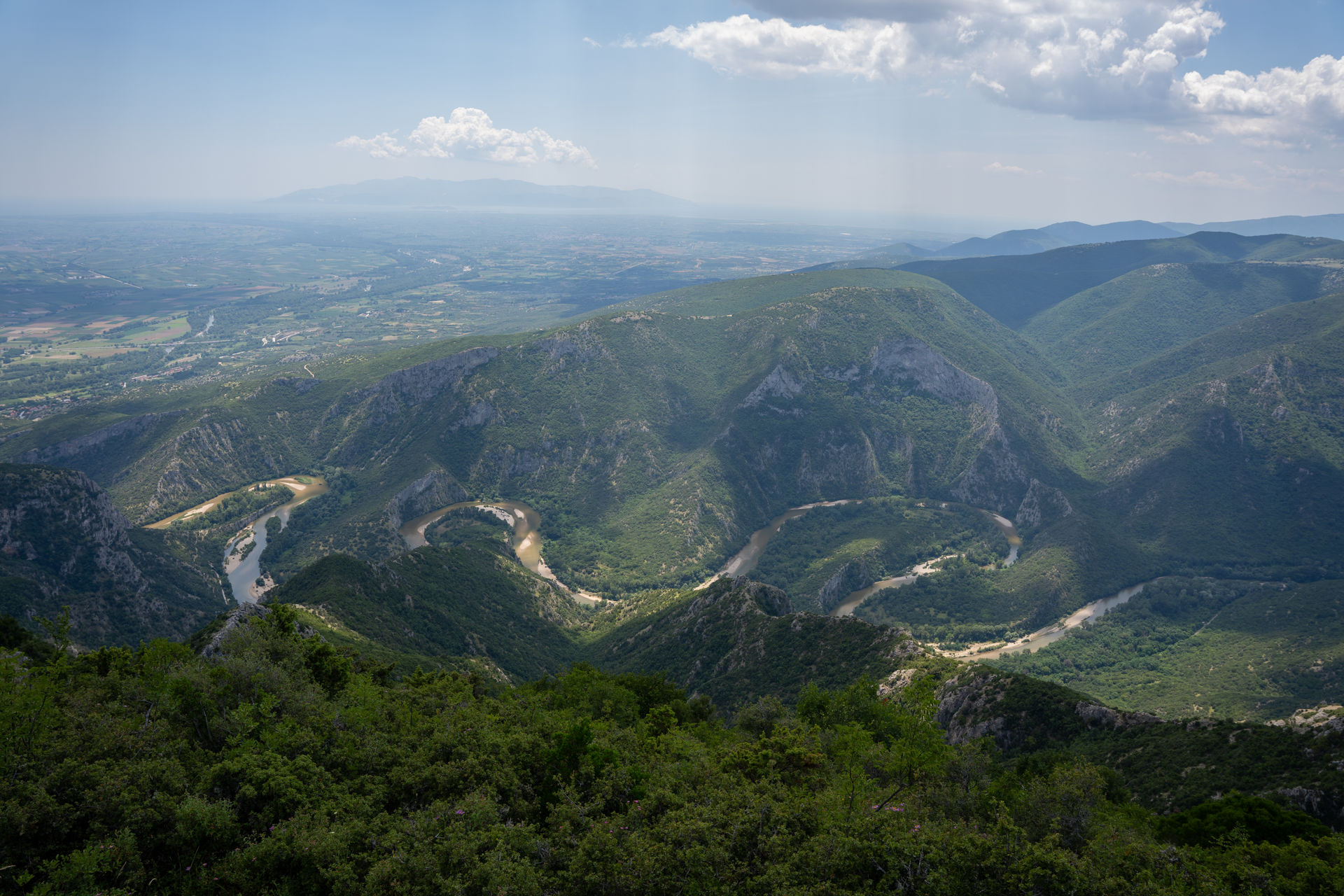 Vivid green forests tumble down the hillside to the water’s edge and around you is a landscape of rich wildlife