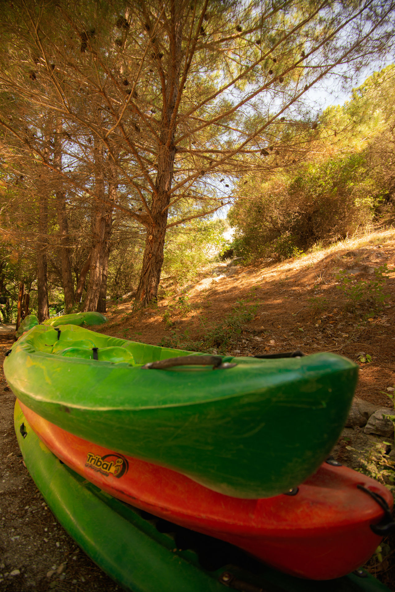 Organised excursions on the Nestos River take place all year round