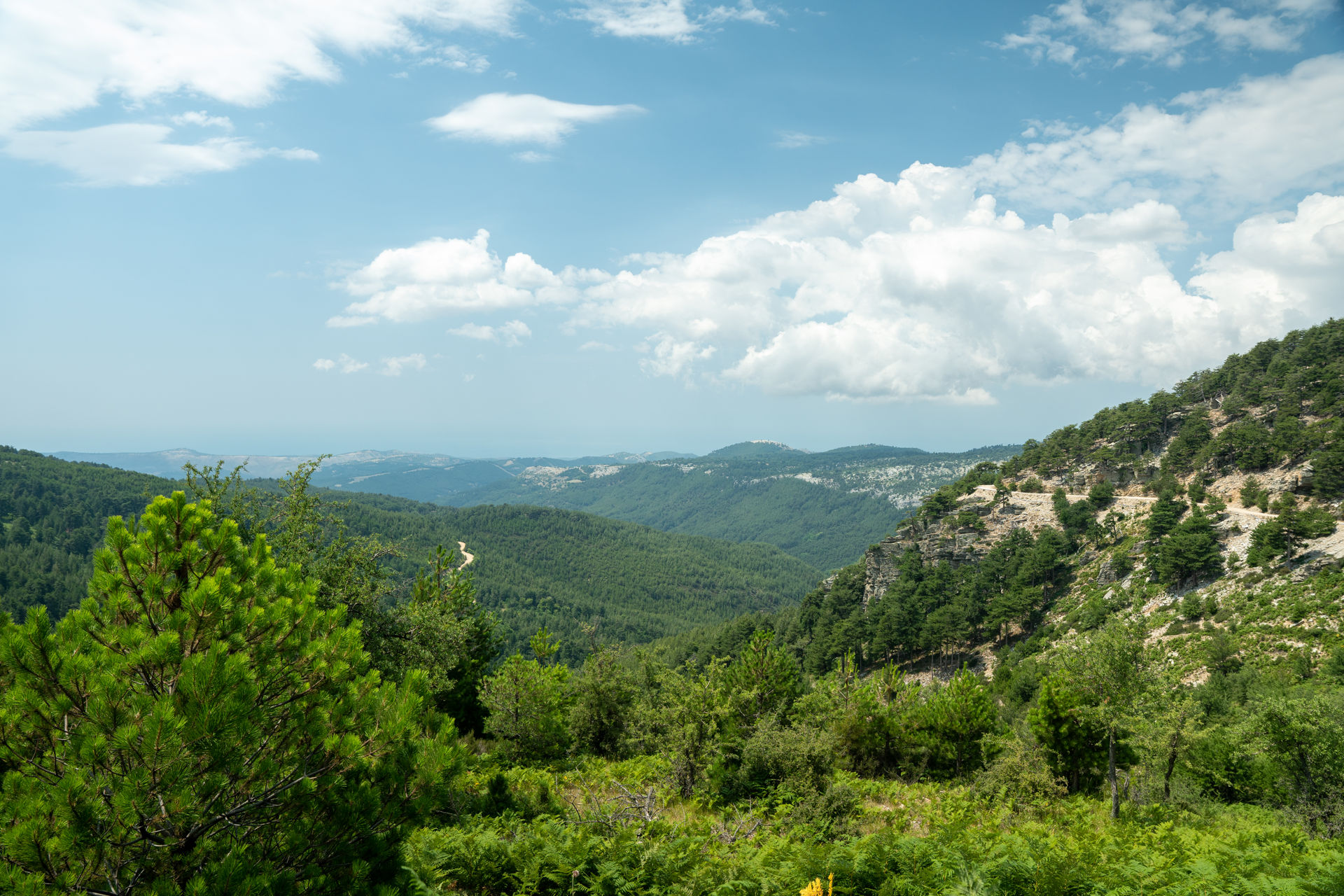 There are countless footpaths to follow on your hiking experience