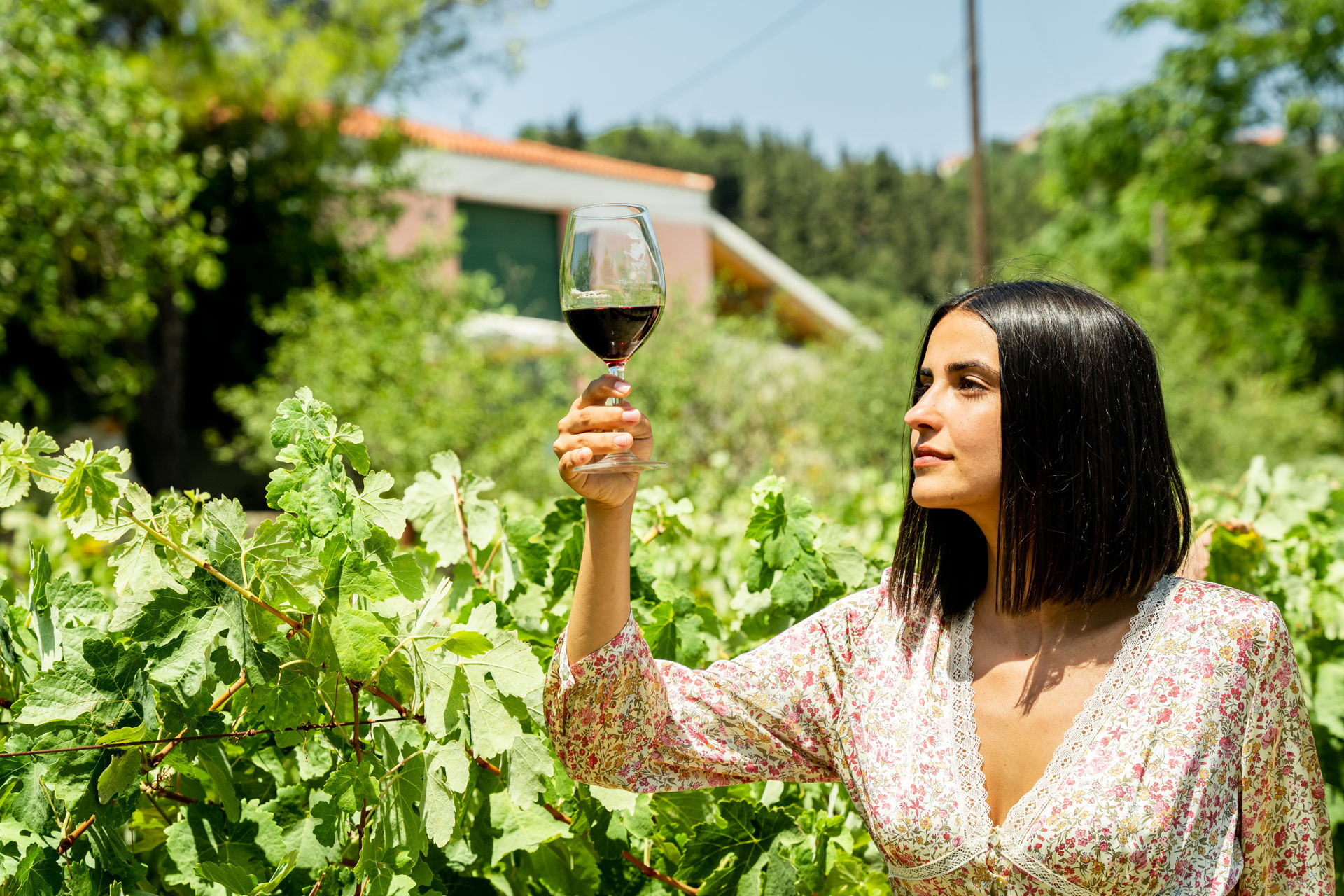 If you are interested in exploring the other grape varieties, there are wineries around Lixouri