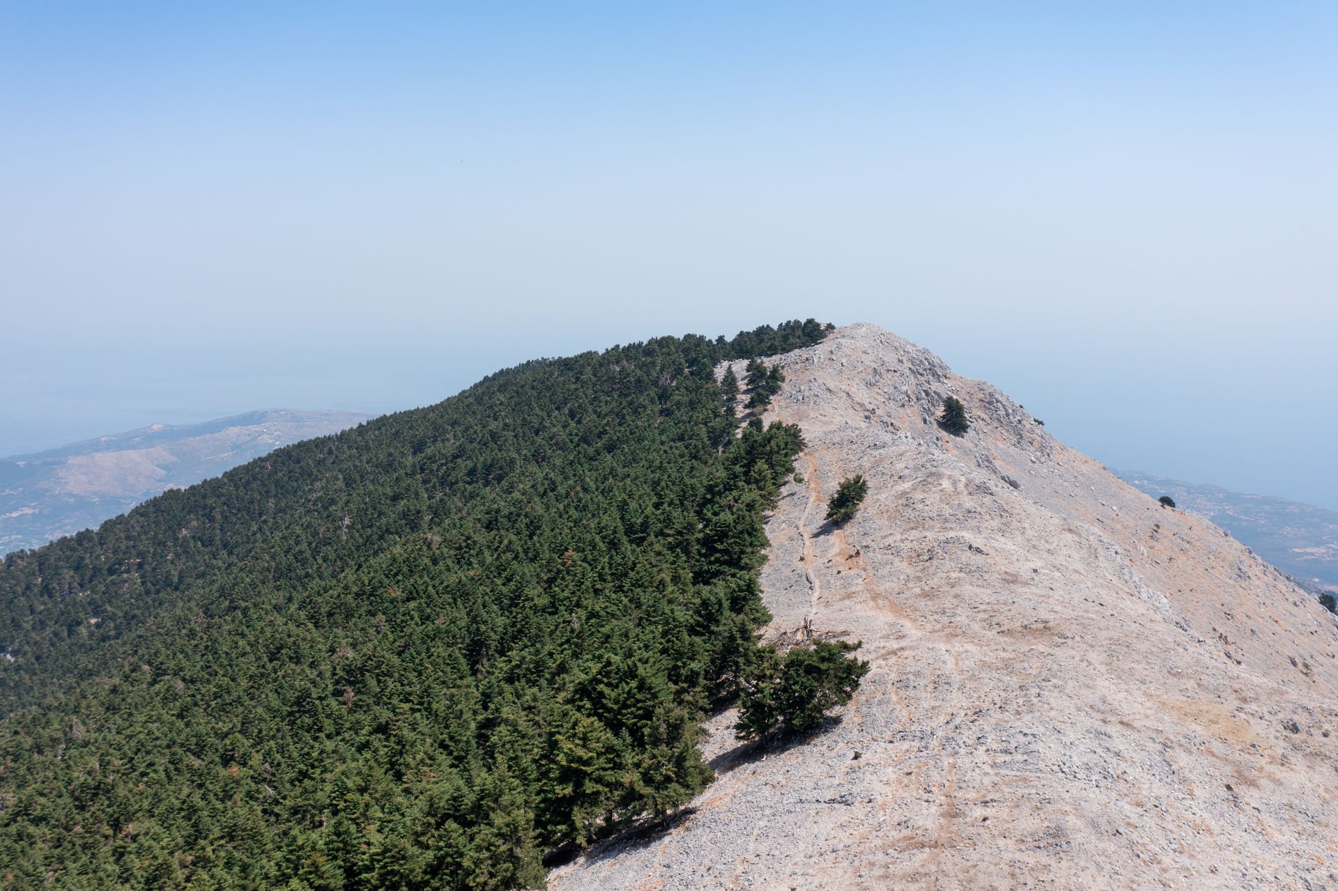 Whichever of the two hikes you choose, you will walk through Kefalonia’s famous fir tree forest, covering two-thirds of the mountain