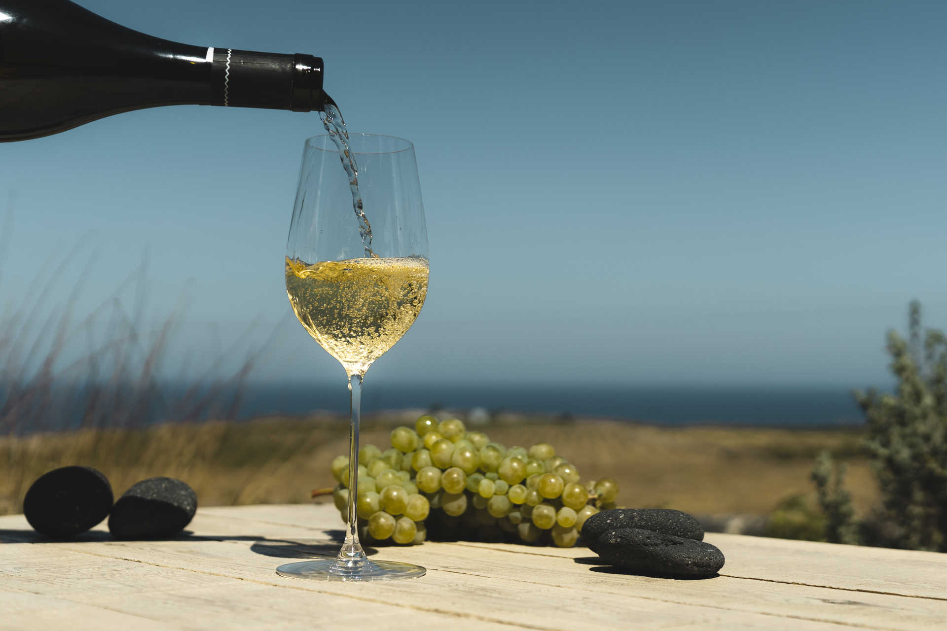 Dégustation de vin sur Santorin