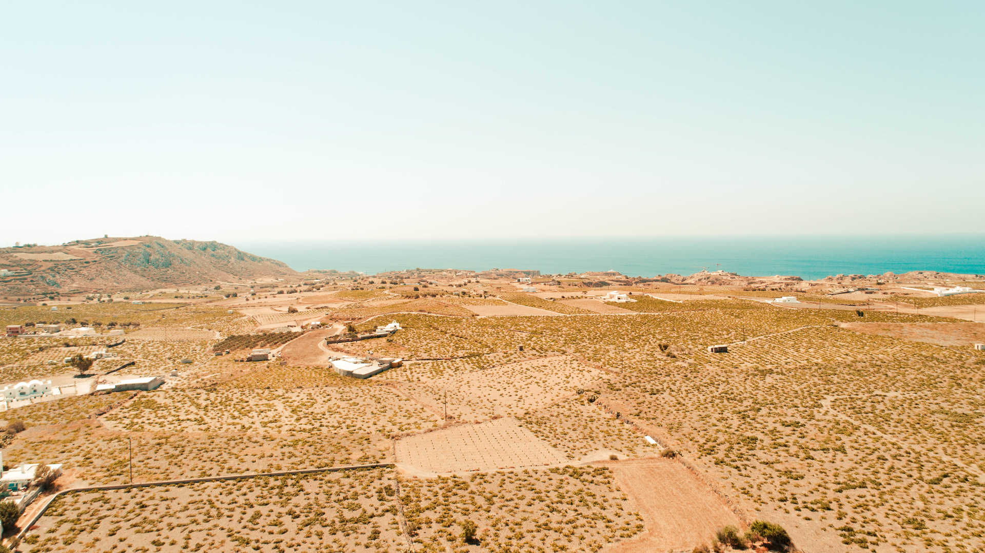 Enjoy a vineyard and wine tour of Santorini