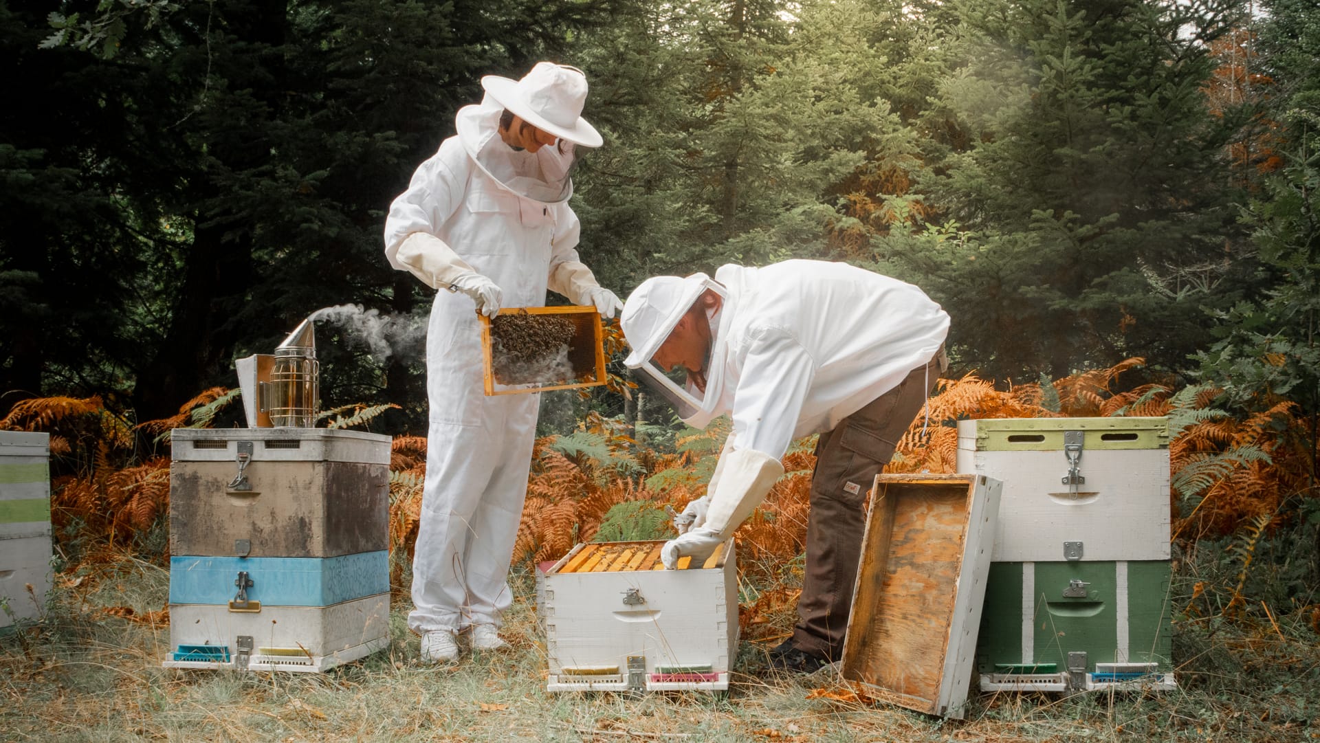 Beekeepers in Taxiarchis village in Halkidiki