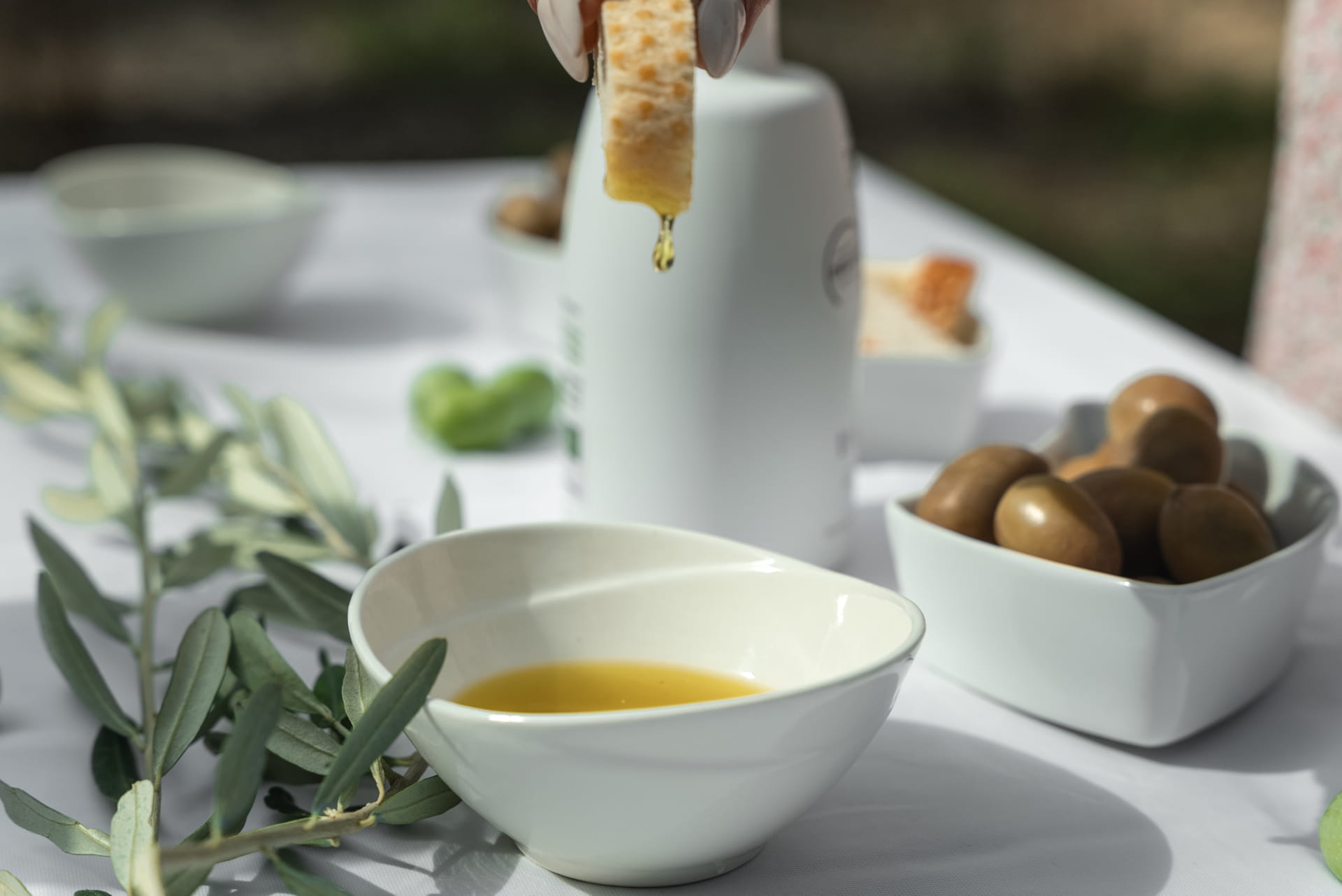 Olive oil tasting in Halkidiki