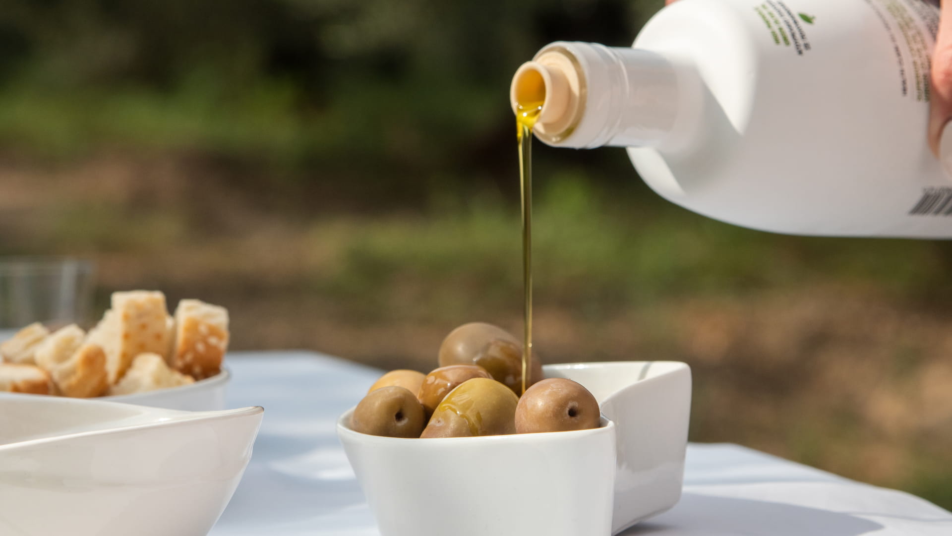 An olive tasting experience in Halkidiki 