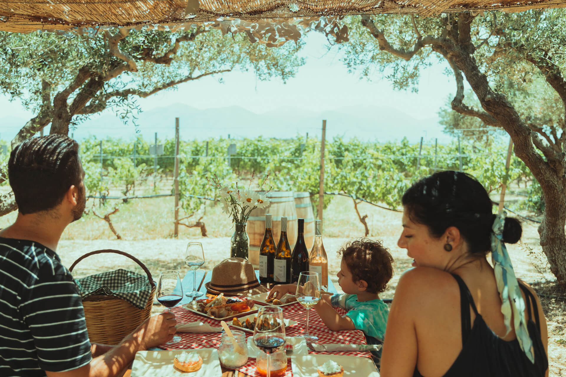The Vineyard Picnic Experience by Lyrarakis winery